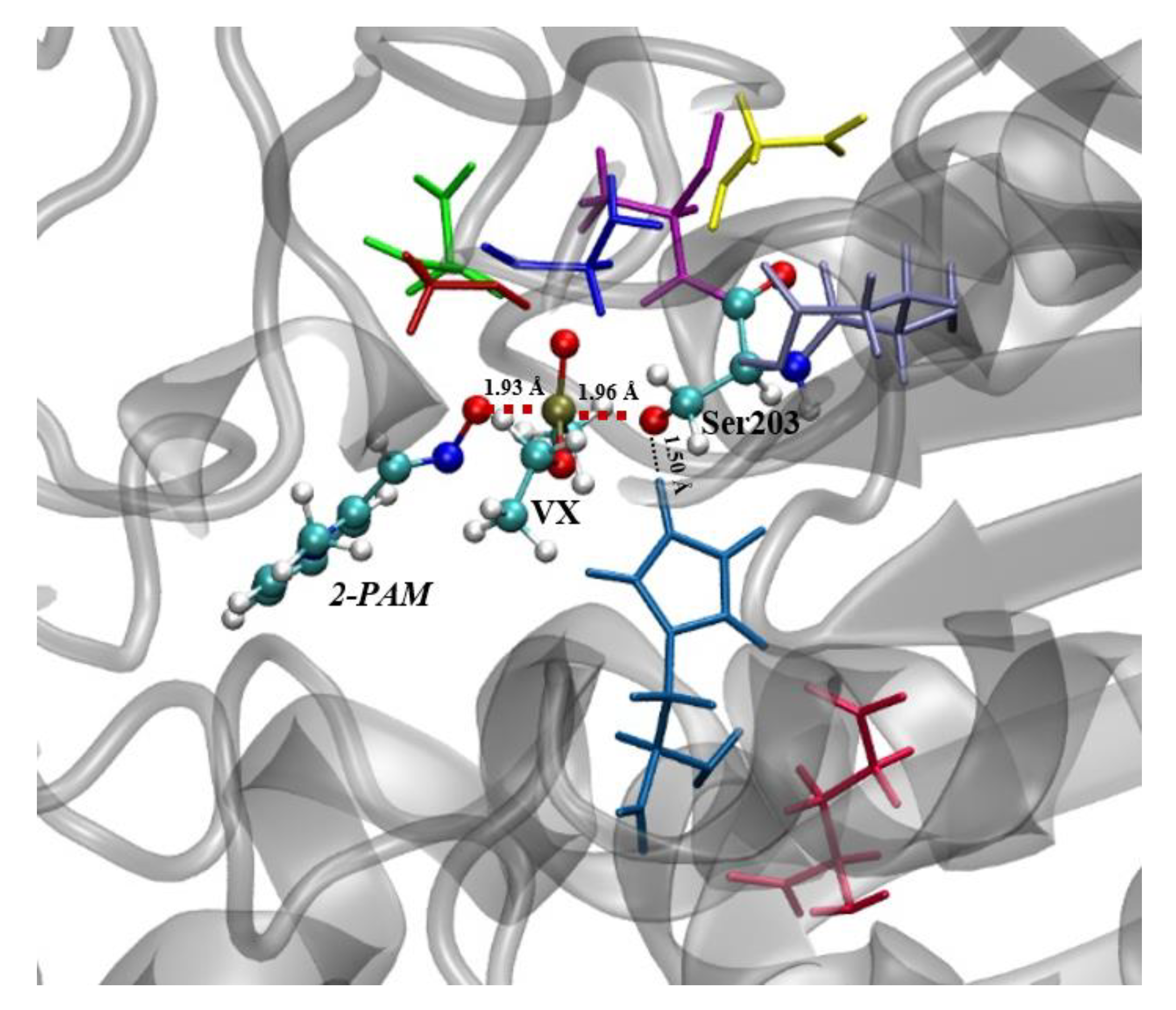 Biomolecules 10 00192 g004