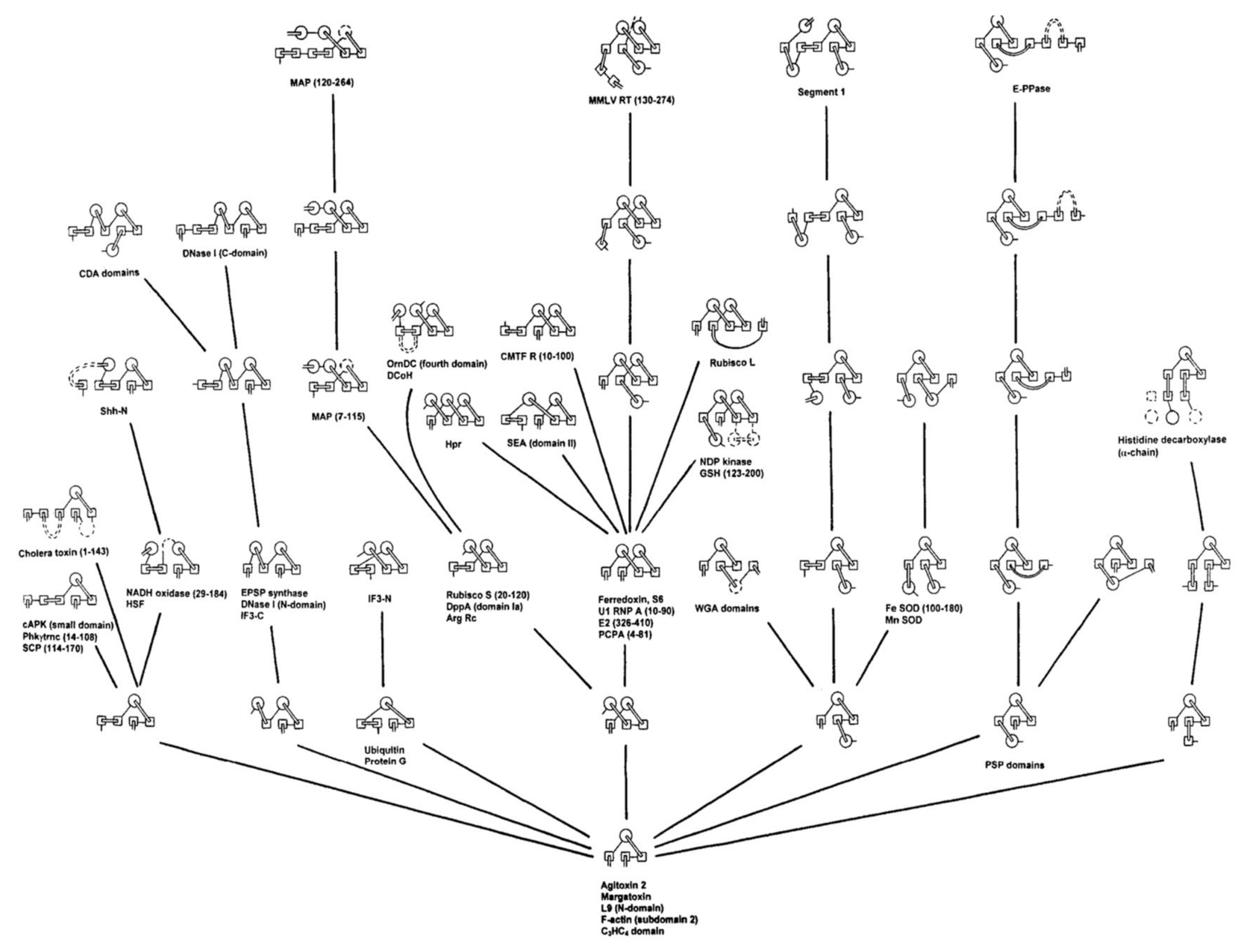 Biomolecules 10 00193 g001