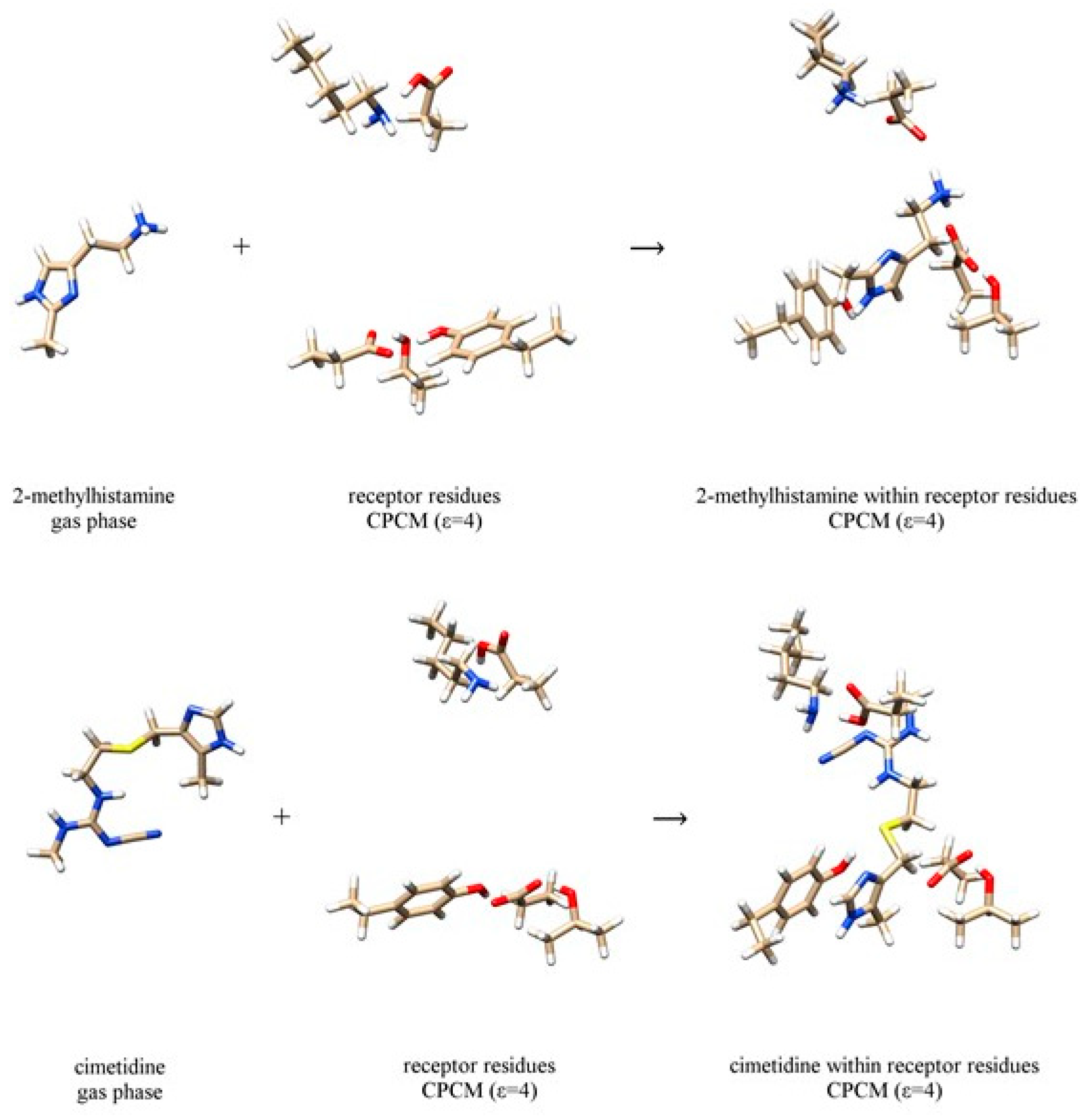 Biomolecules 10 00196 g003 Biomolecules 10 00196 g003