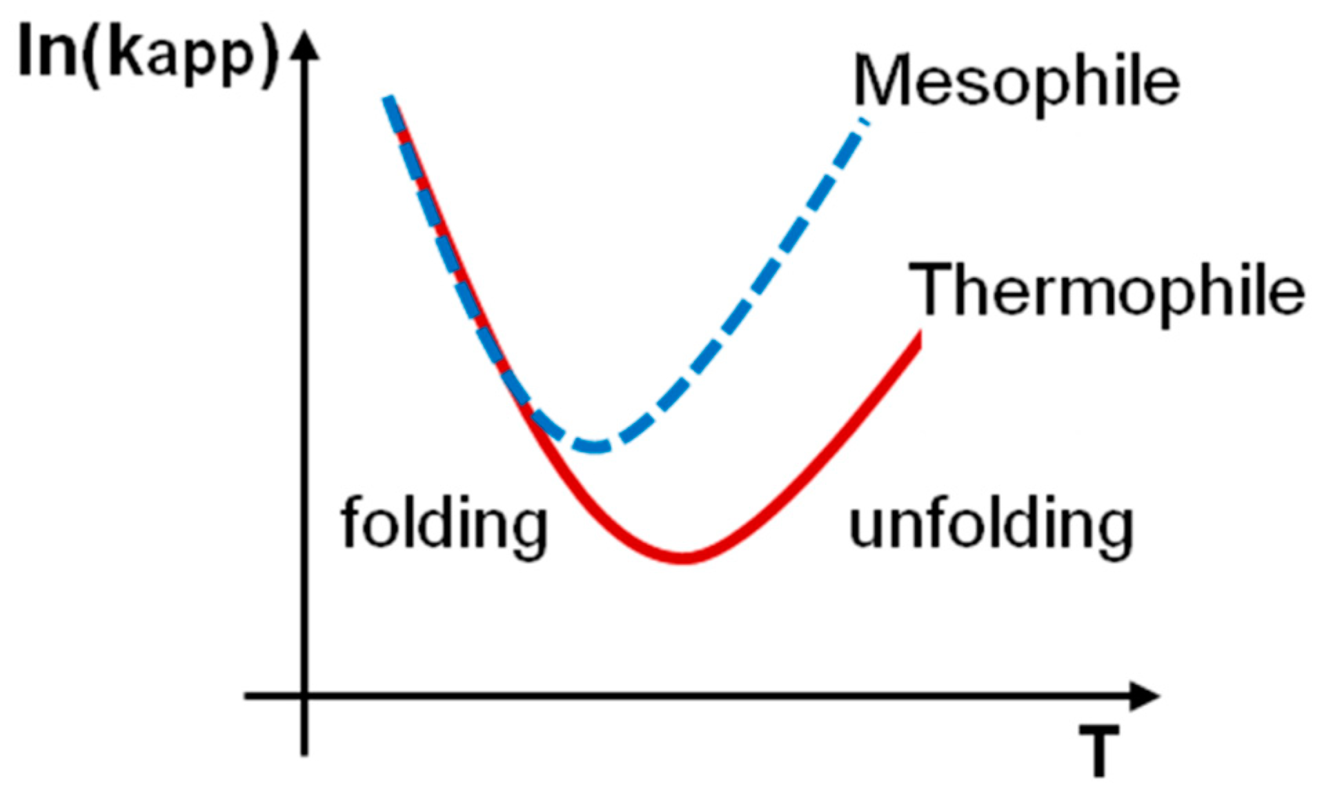 How Quickly Do Proteins Fold and Unfold, and What Structural Parameters ...