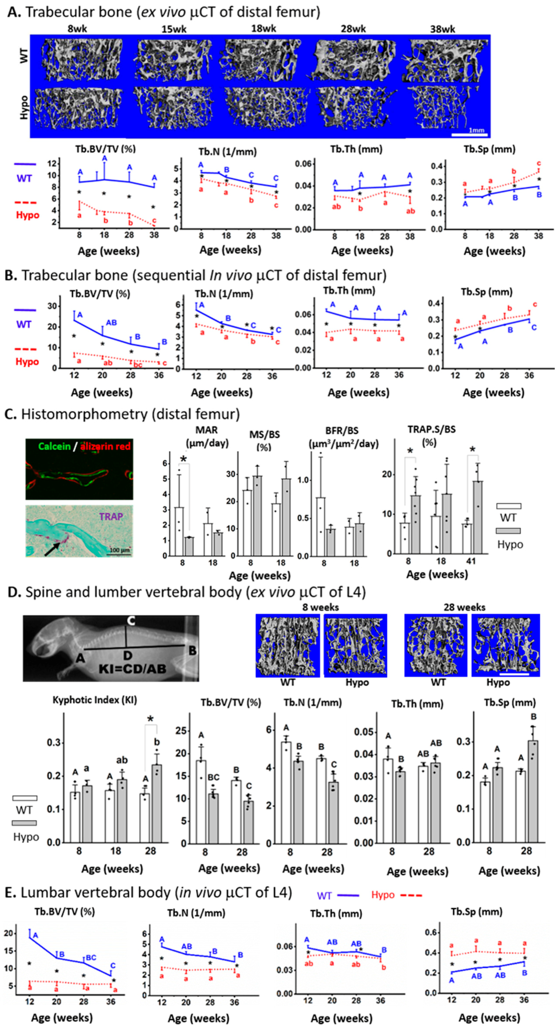 Biomolecules 10 00198 g001 Biomolecules 10 00198 g001