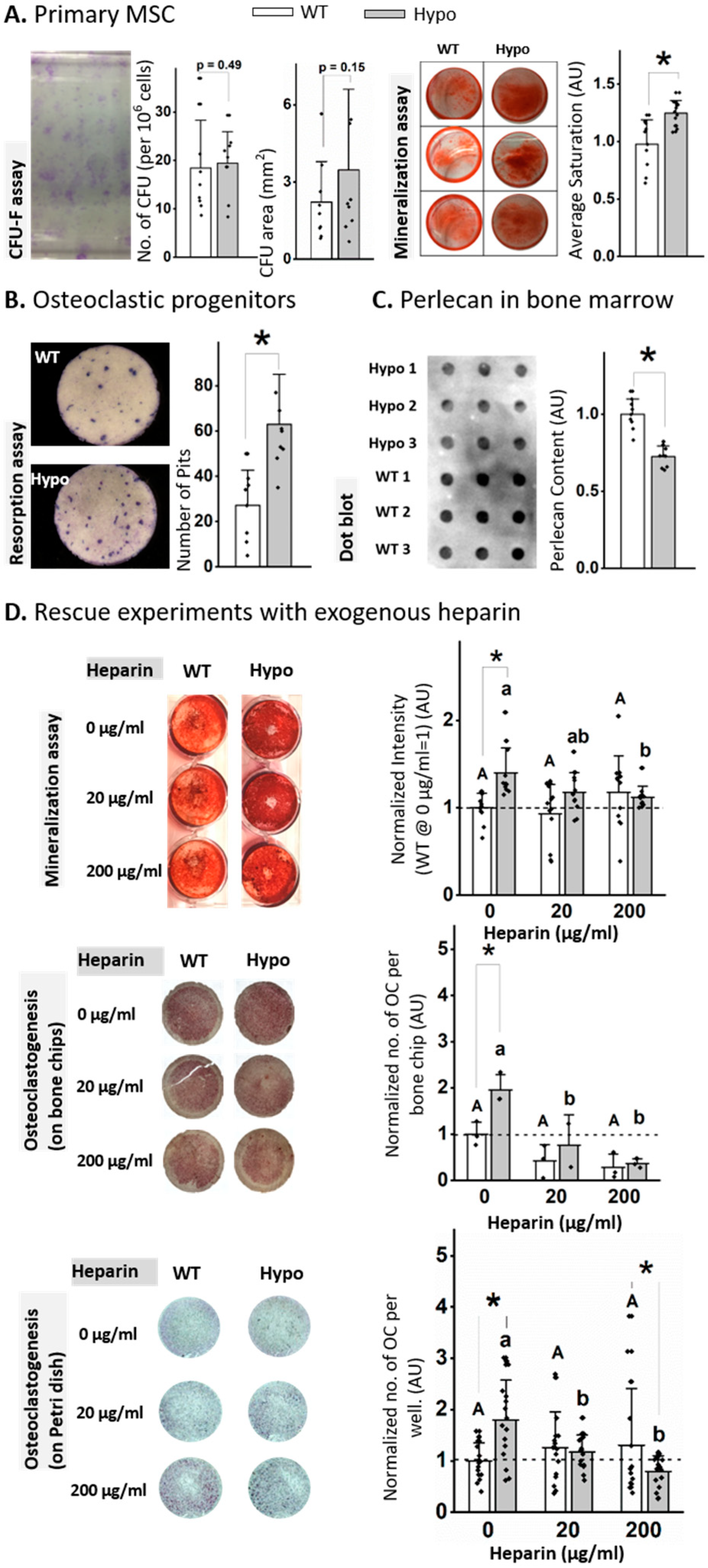 Biomolecules 10 00198 g002 Biomolecules 10 00198 g002