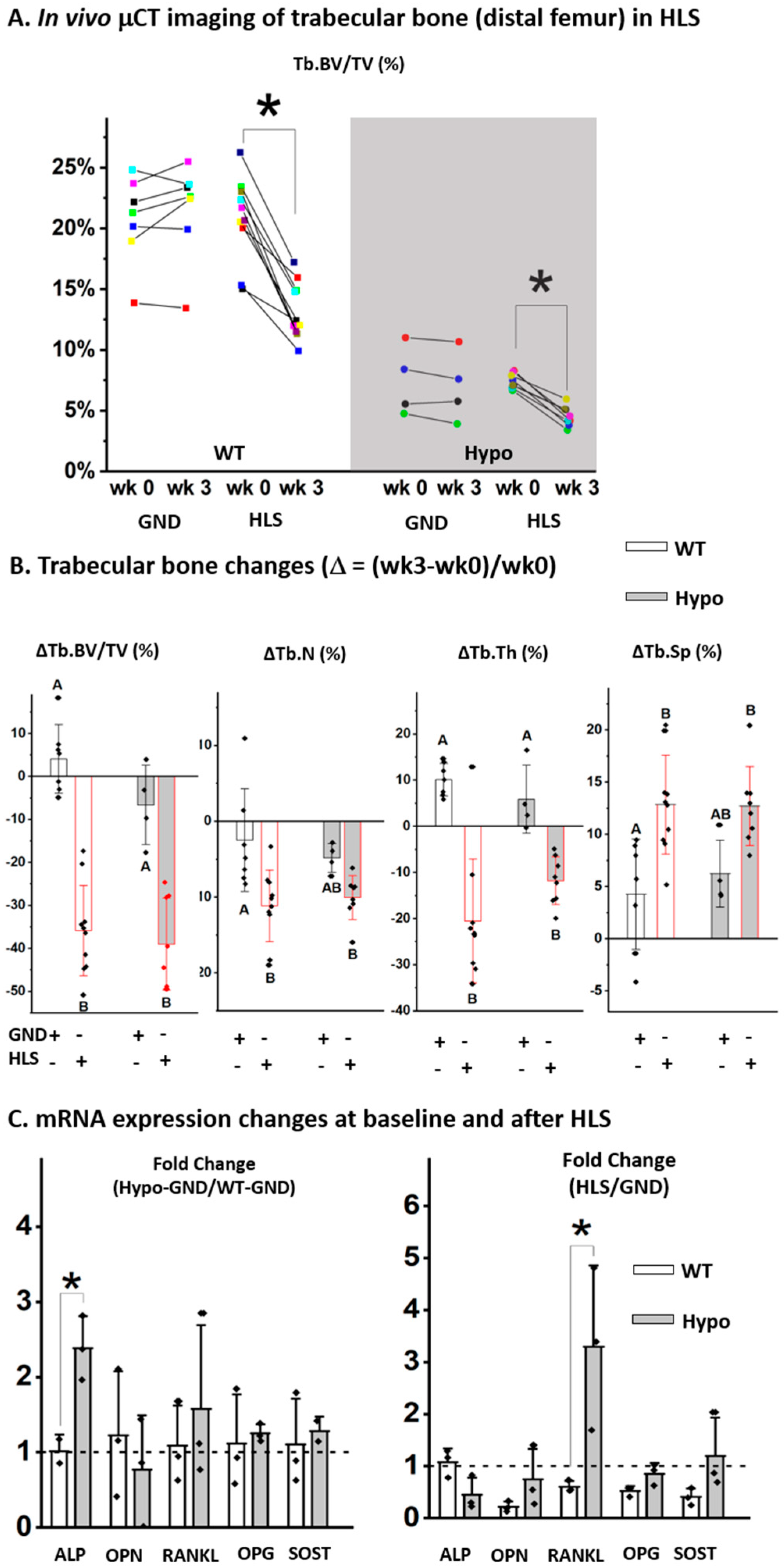 Biomolecules 10 00198 g003 Biomolecules 10 00198 g003