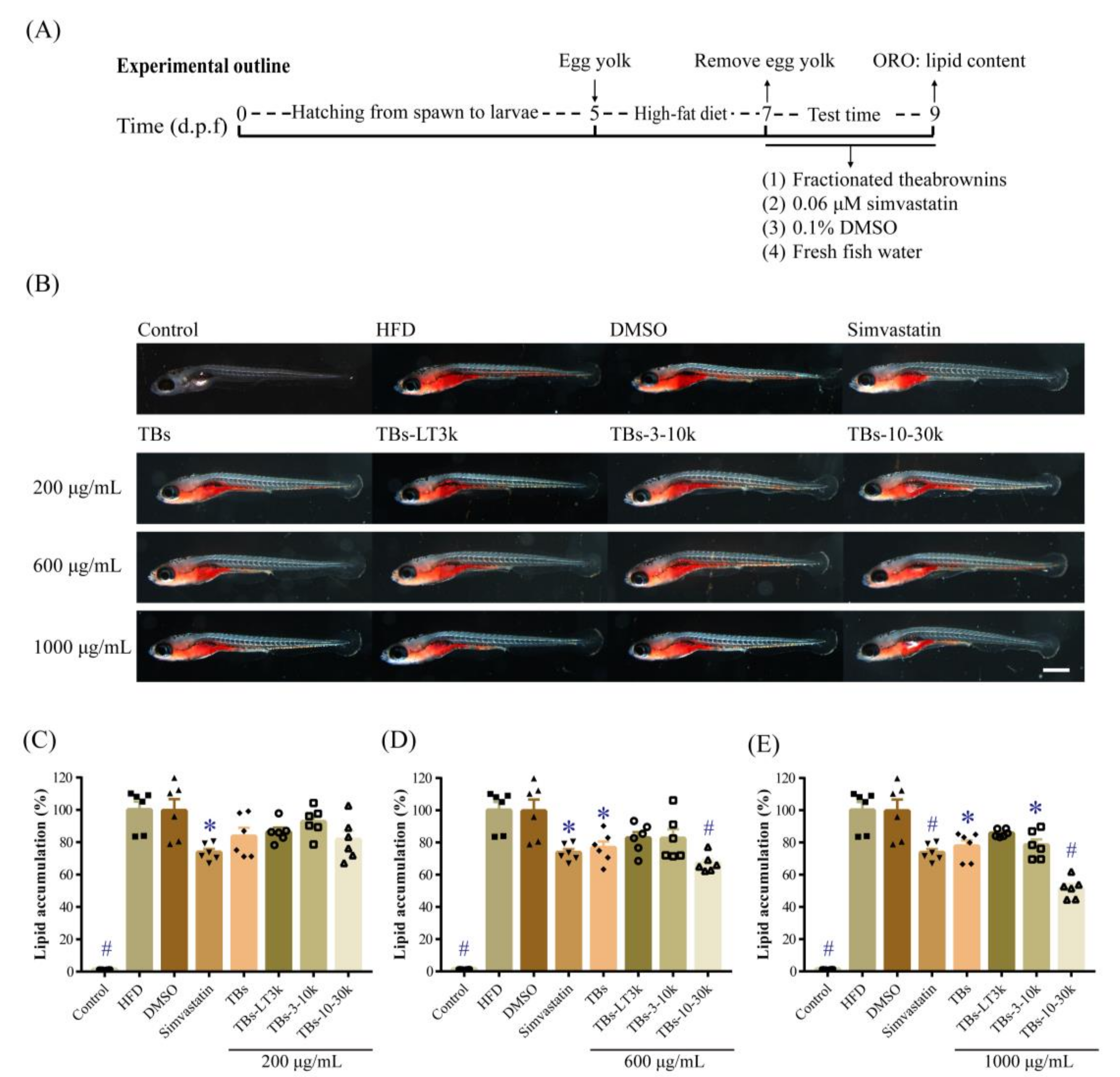 Biomolecules 10 00204 g002 Biomolecules 10 00204 g002