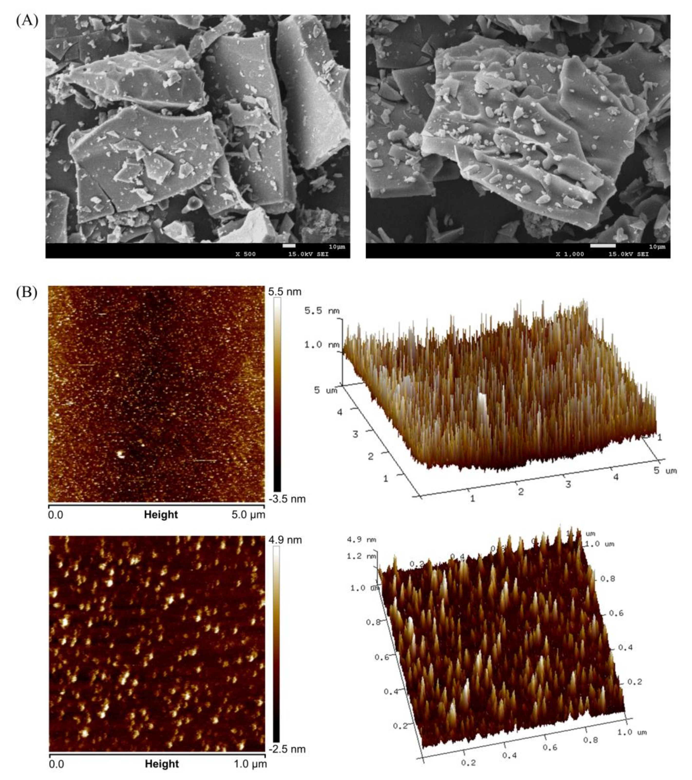 Biomolecules 10 00204 g005 Biomolecules 10 00204 g005