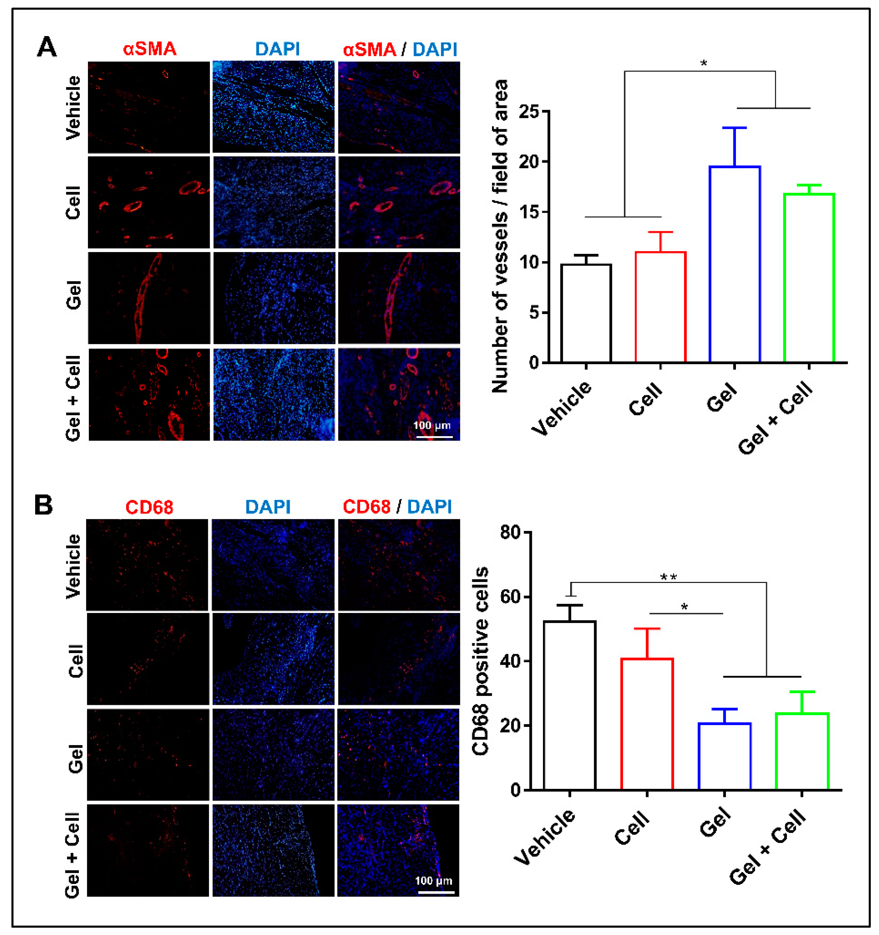 Biomolecules 10 00205 g005 Biomolecules 10 00205 g005