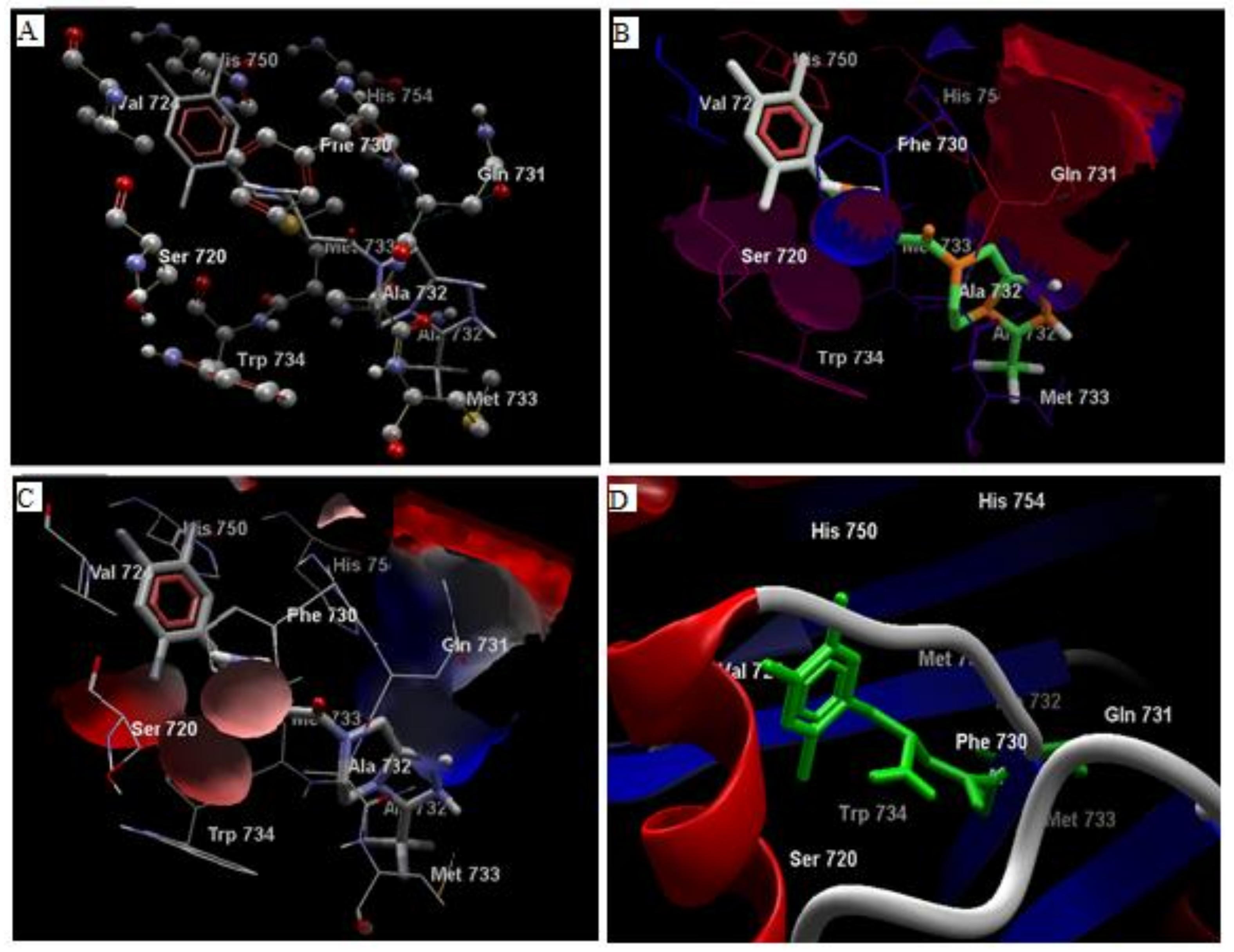 Biomolecules 10 00207 g004 Biomolecules 10 00207 g004