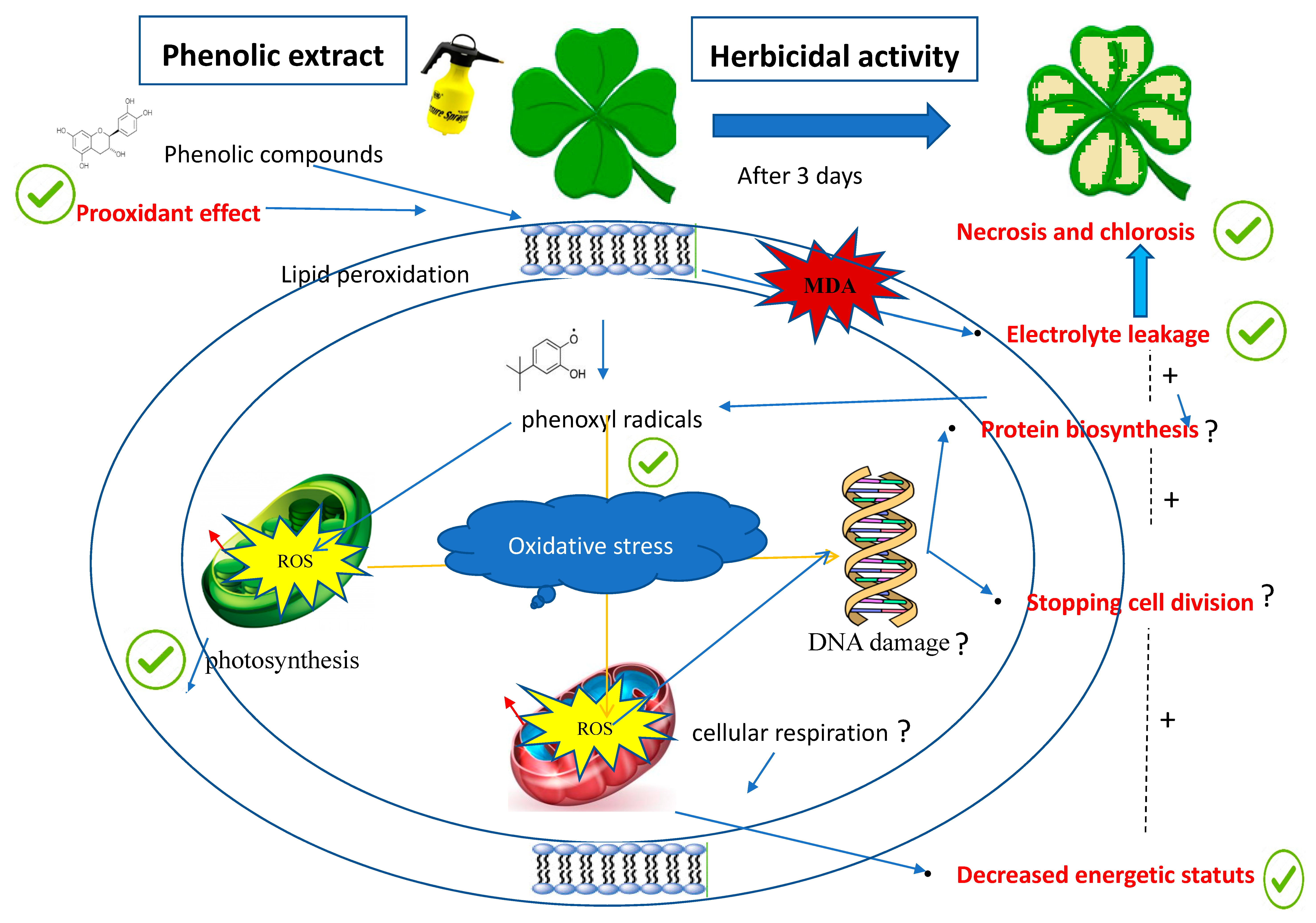 Biomolecules 10 00209 g009