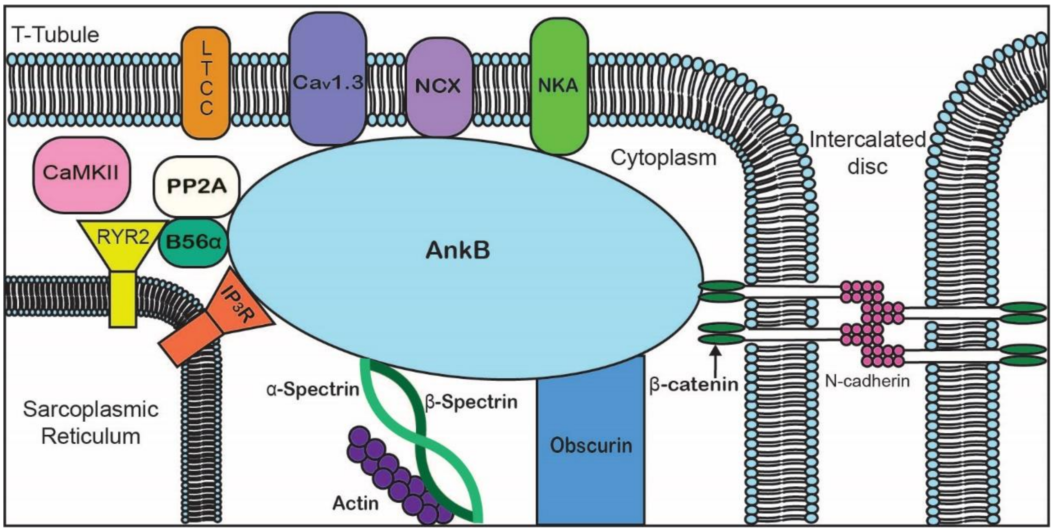 Biomolecules 10 00211 g002