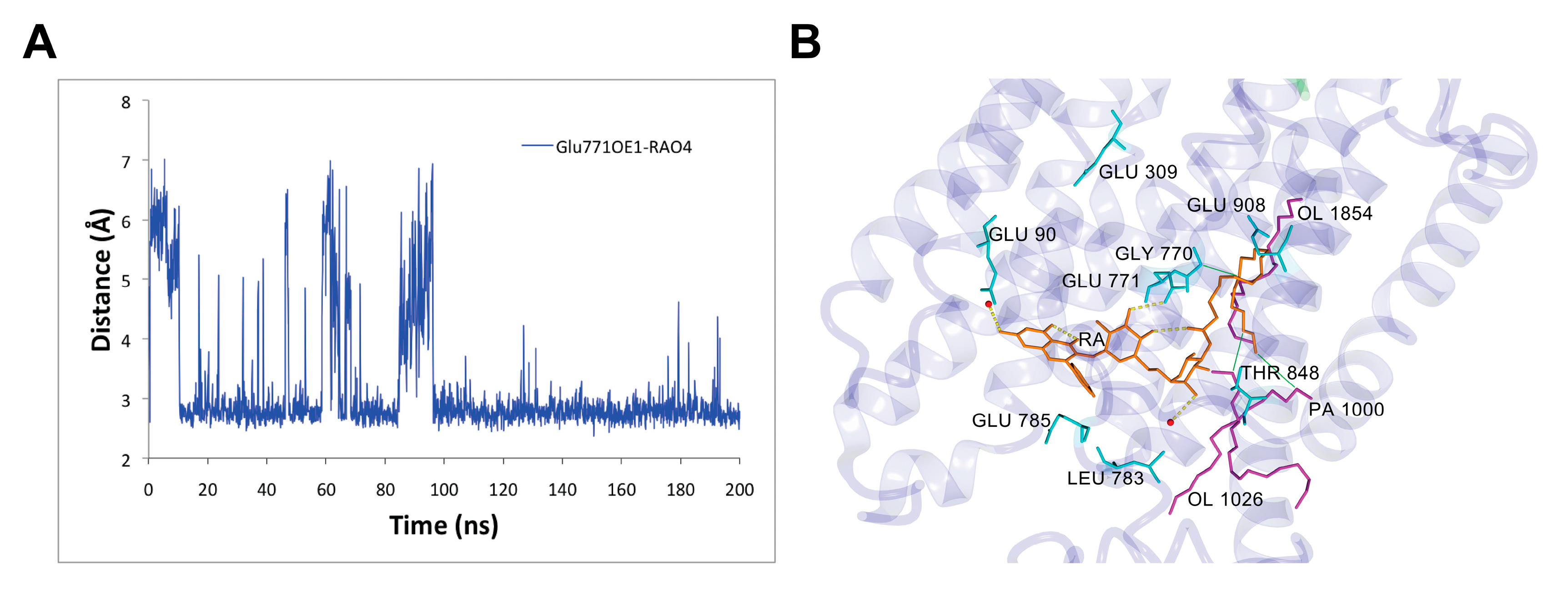 Biomolecules 10 00214 g006 Biomolecules 10 00214 g006