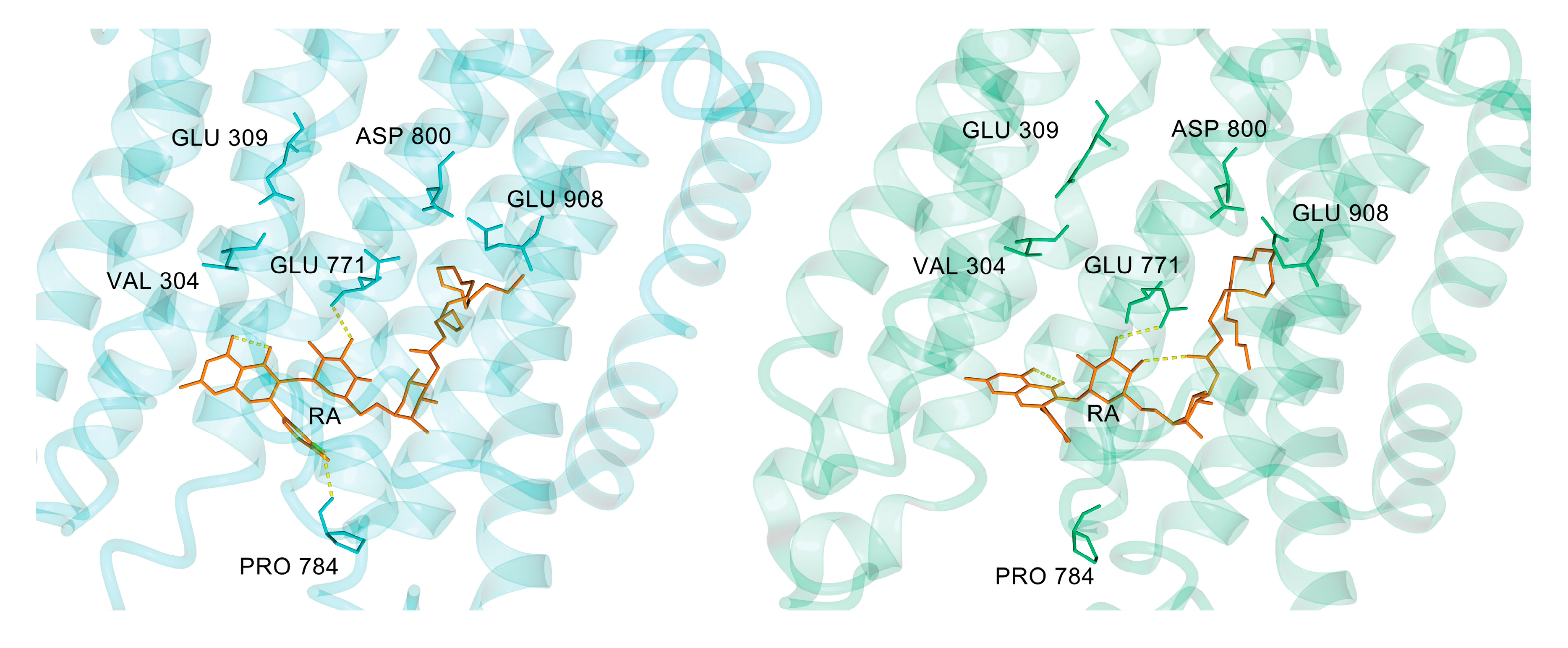 Biomolecules 10 00214 g008 Biomolecules 10 00214 g008