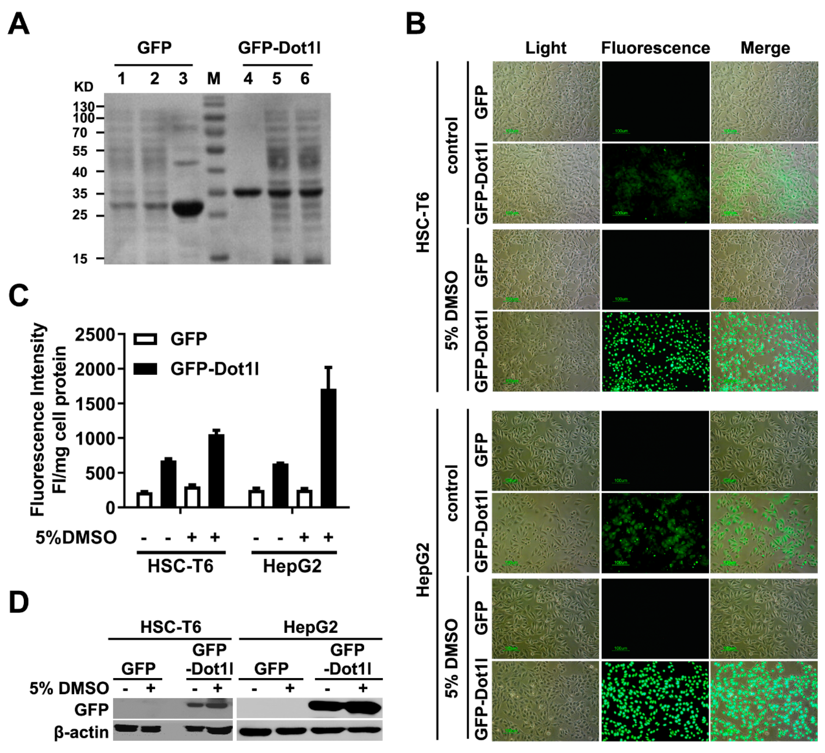 Biomolecules 10 00217 g007 Biomolecules 10 00217 g007