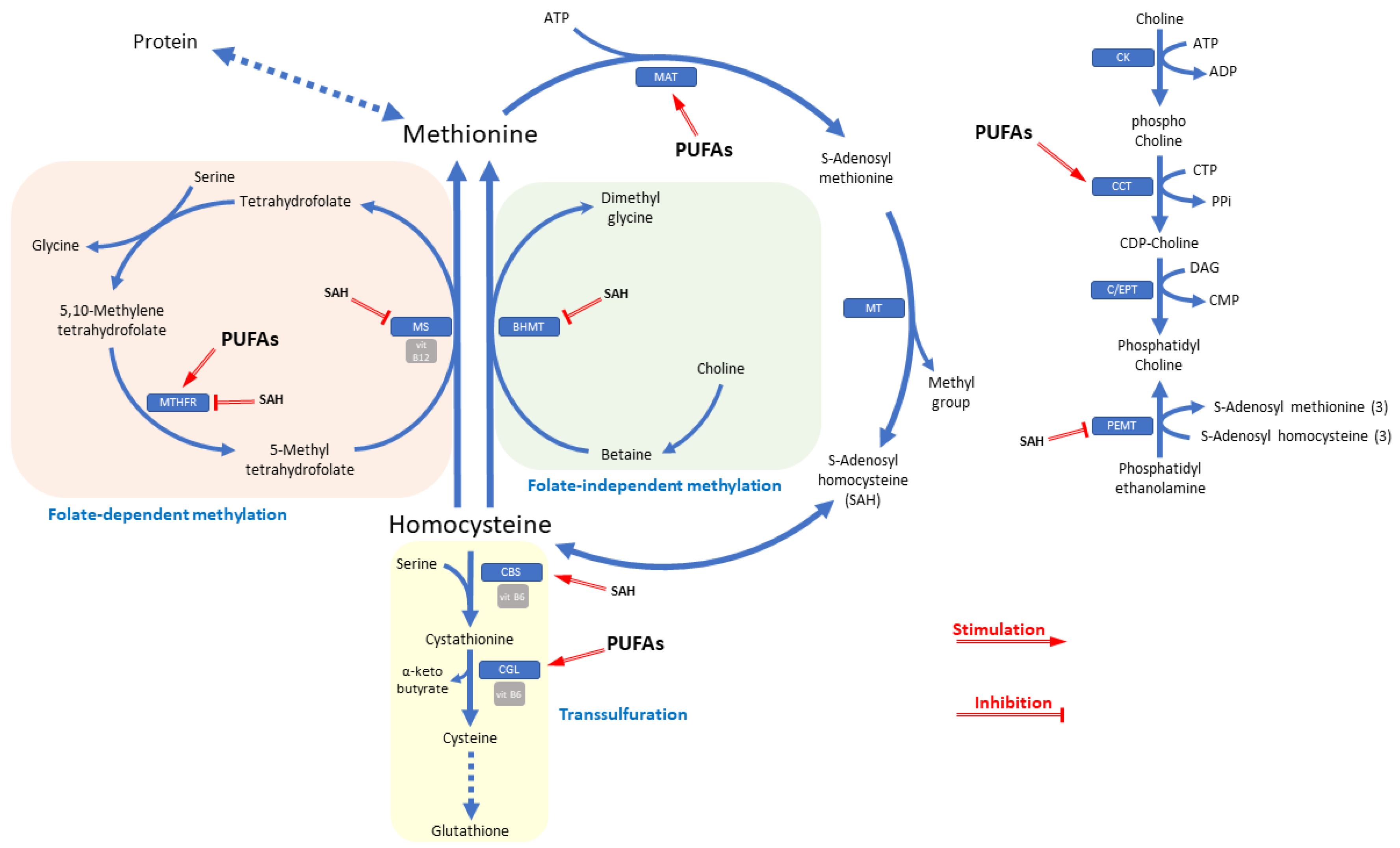 Biomolecules 10 00219 g001