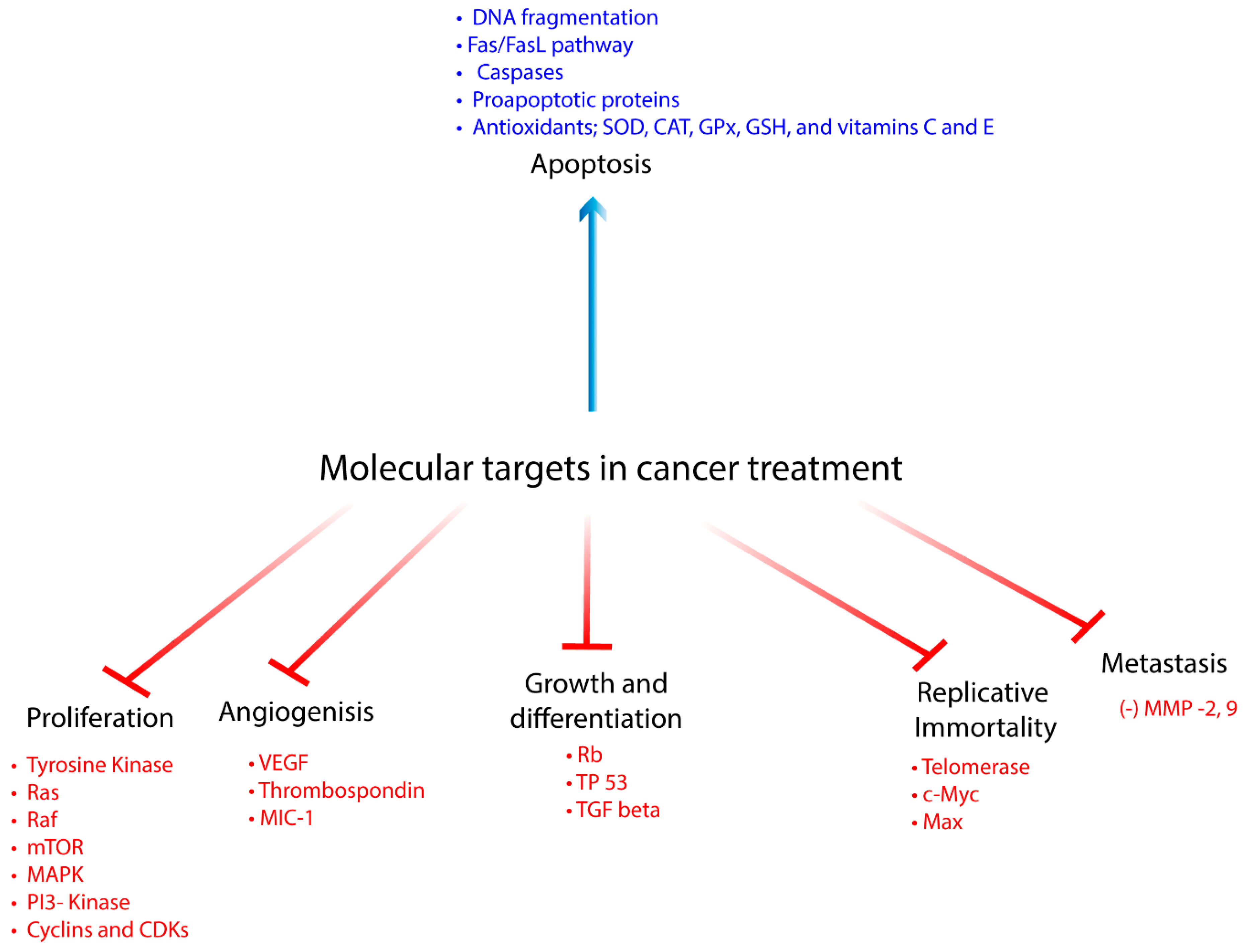 Biomolecules 10 00221 g001 Biomolecules 10 00221 g001