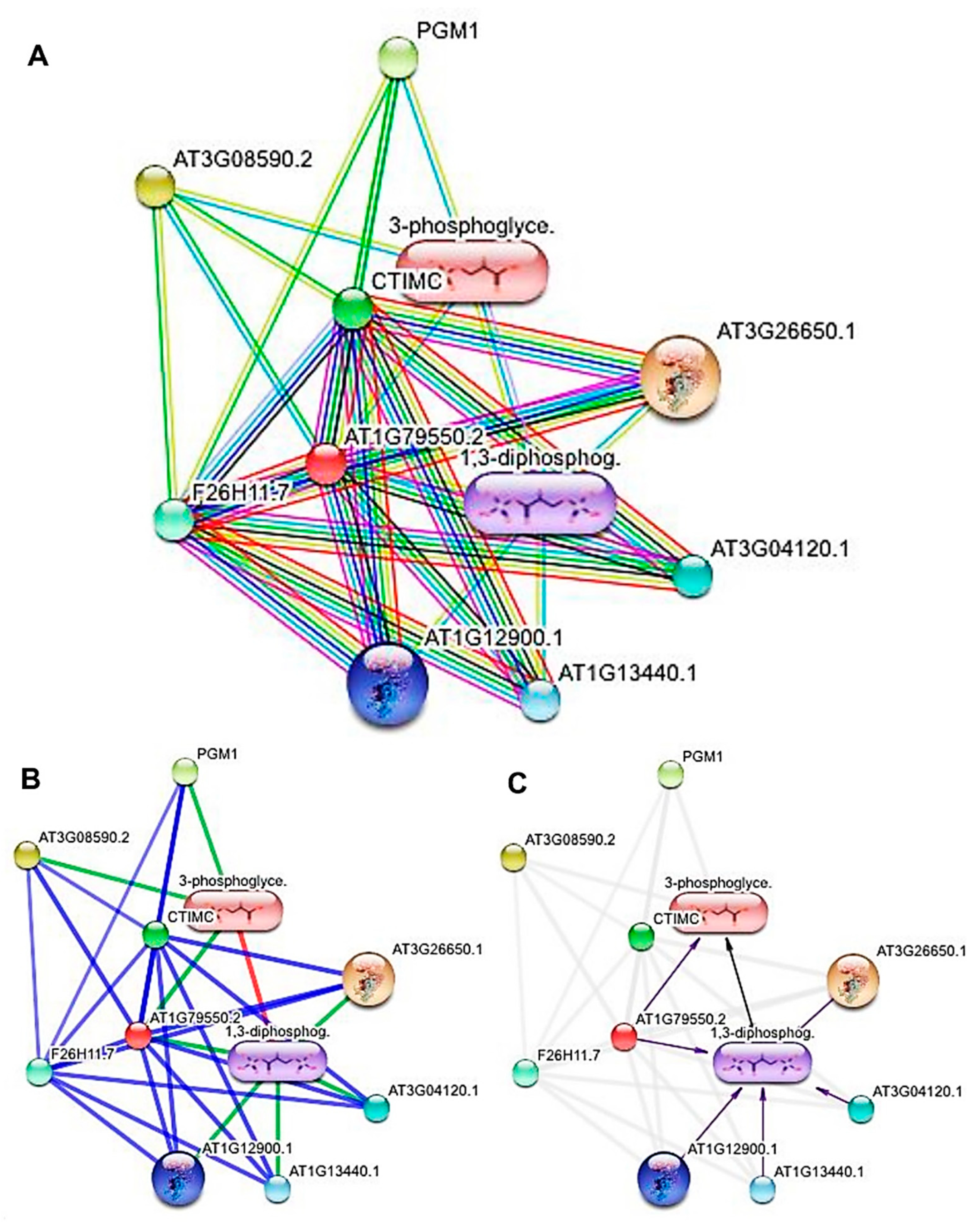 Biomolecules 10 00224 g008 Biomolecules 10 00224 g008