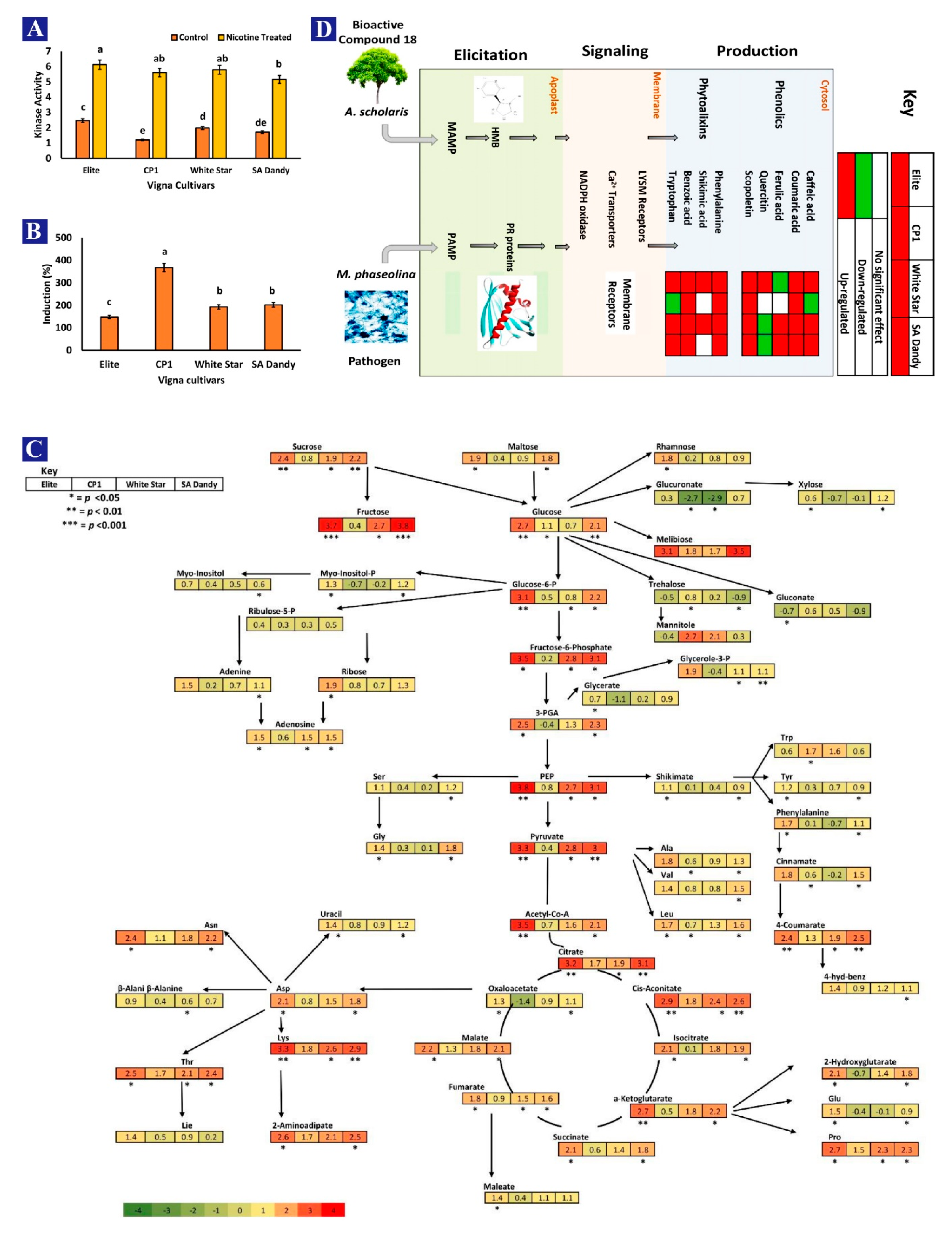 Biomolecules 10 00224 g009 Biomolecules 10 00224 g009