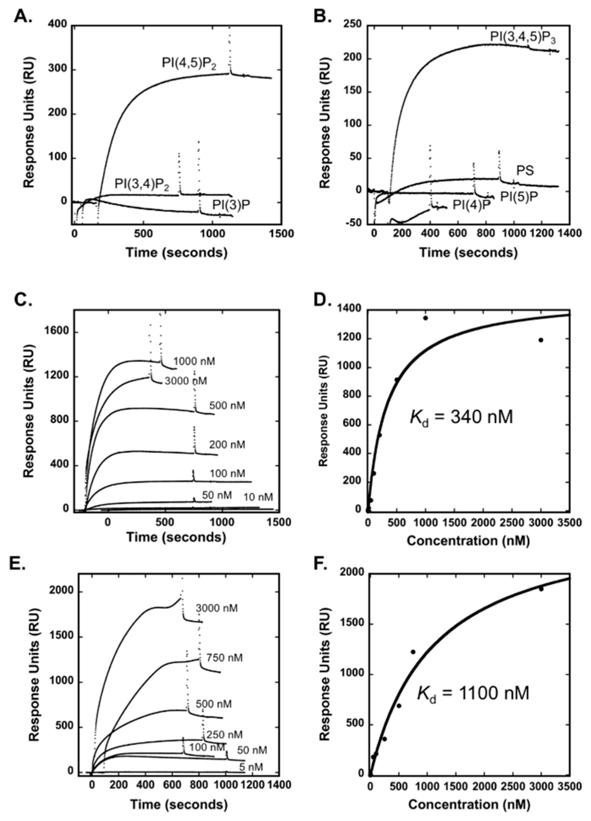 Biomolecules 10 00229 g002 Biomolecules 10 00229 g002