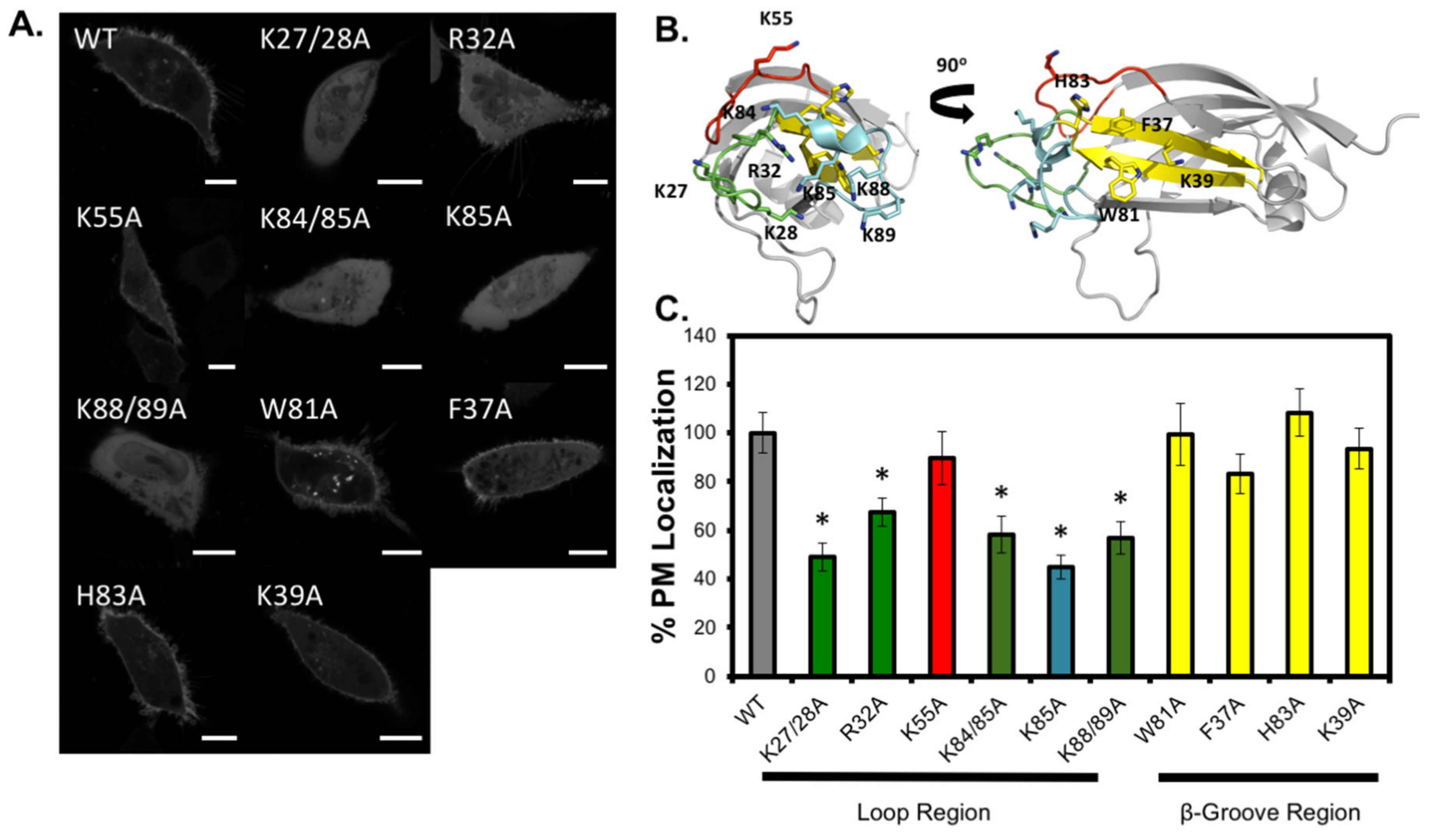 Biomolecules 10 00229 g008 Biomolecules 10 00229 g008