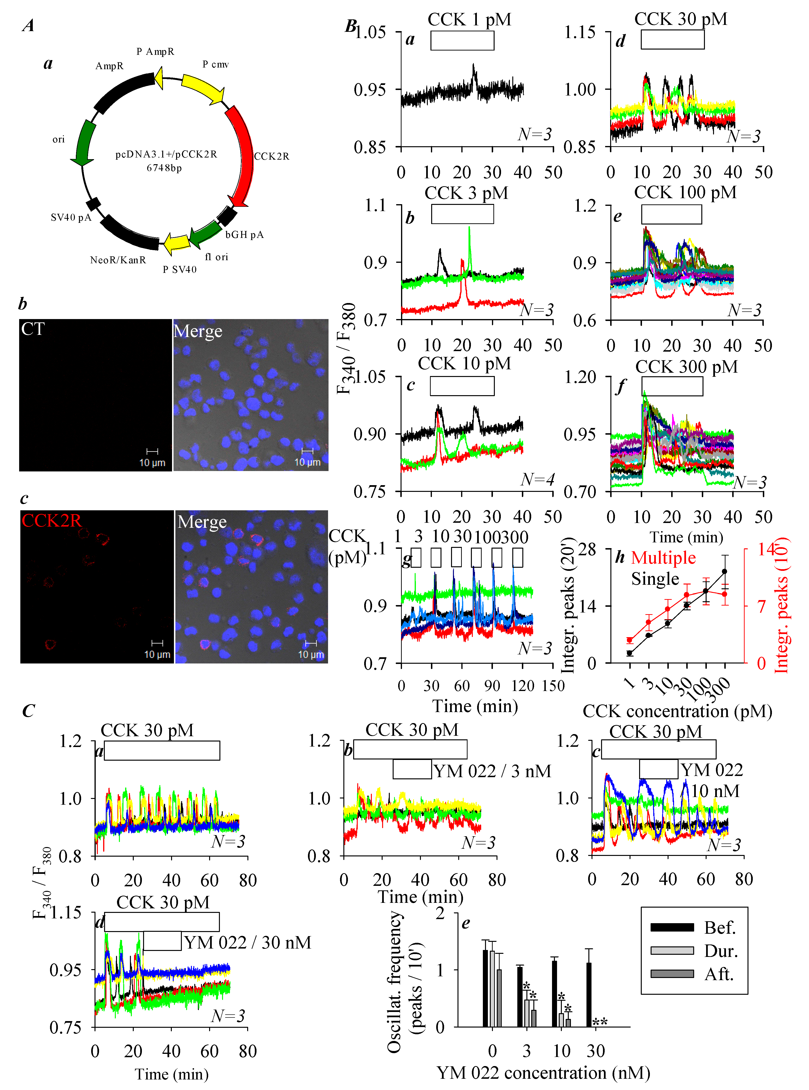 Biomolecules 10 00236 g001 Biomolecules 10 00236 g001