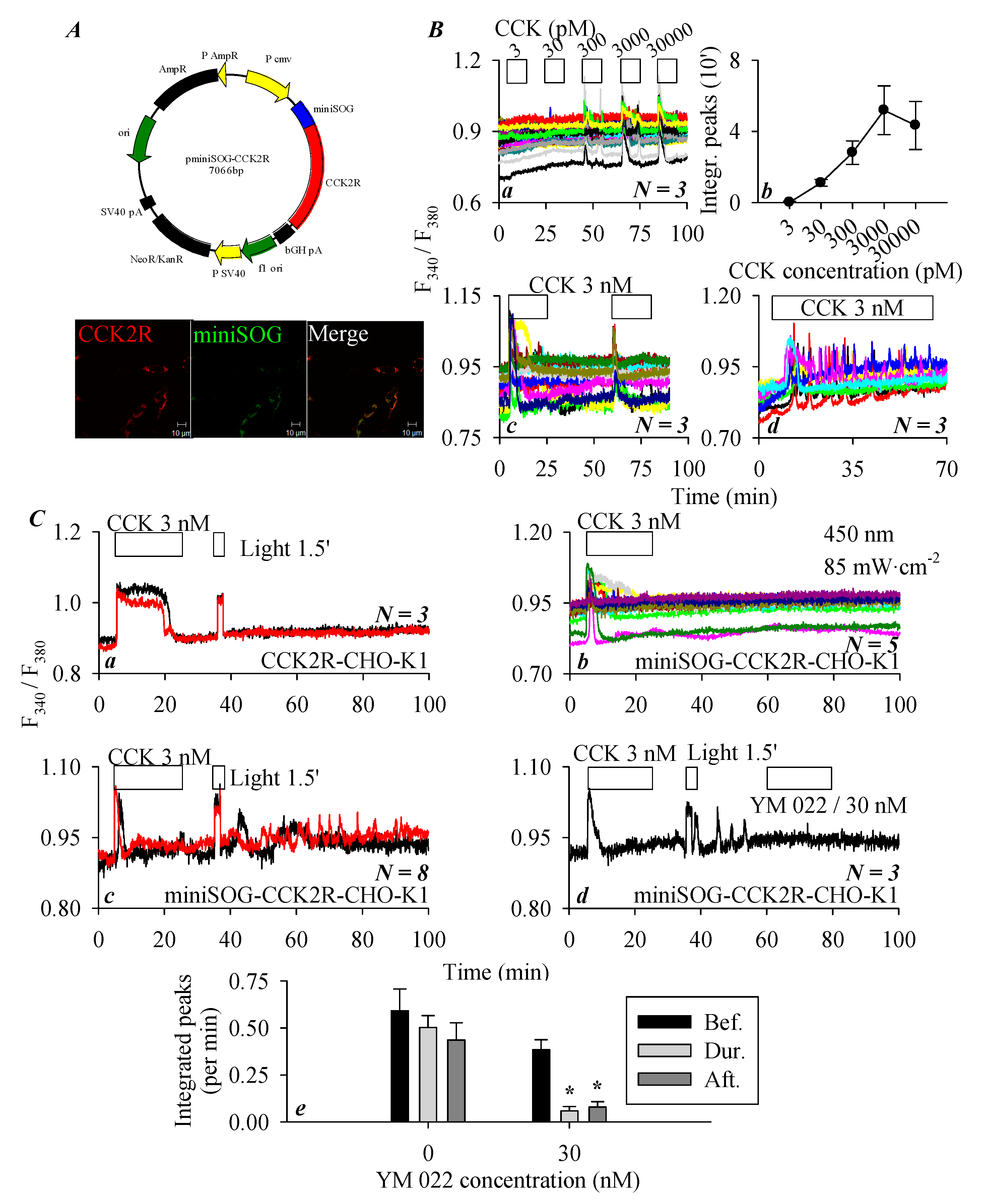 Biomolecules 10 00236 g004 Biomolecules 10 00236 g004