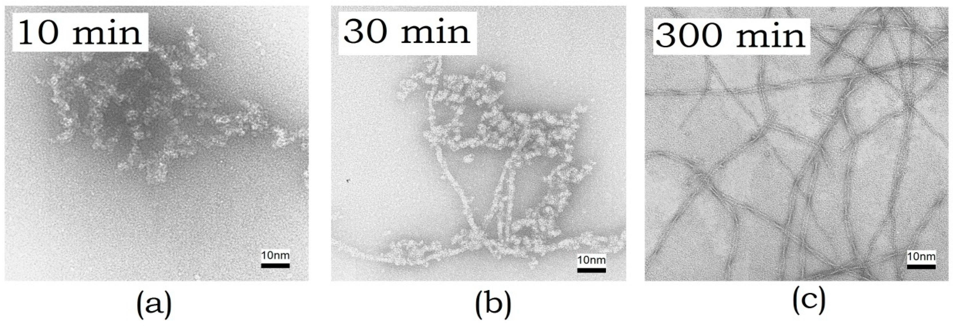 Biomolecules 10 00241 g003 Biomolecules 10 00241 g003
