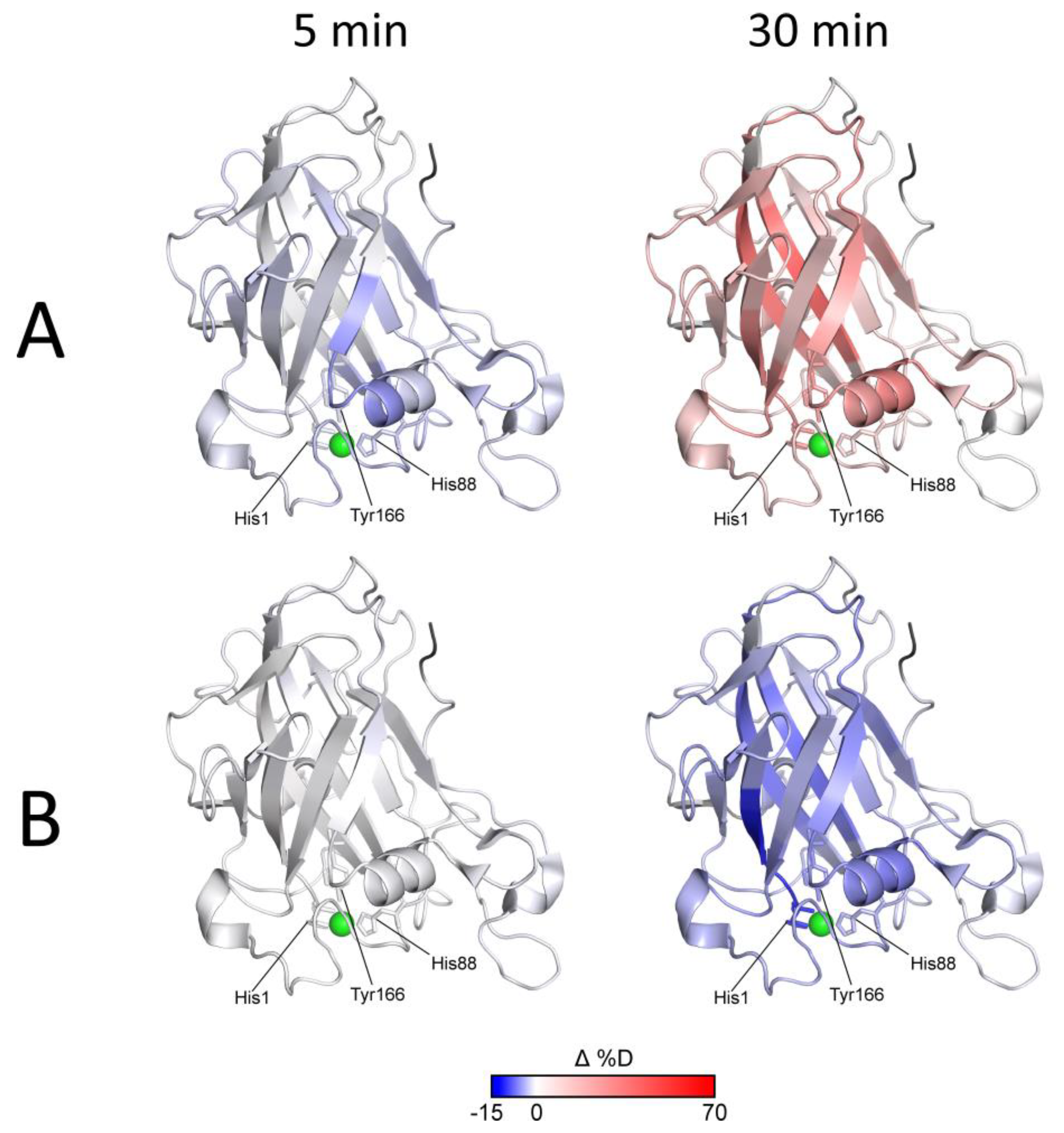 Biomolecules 10 00242 g004