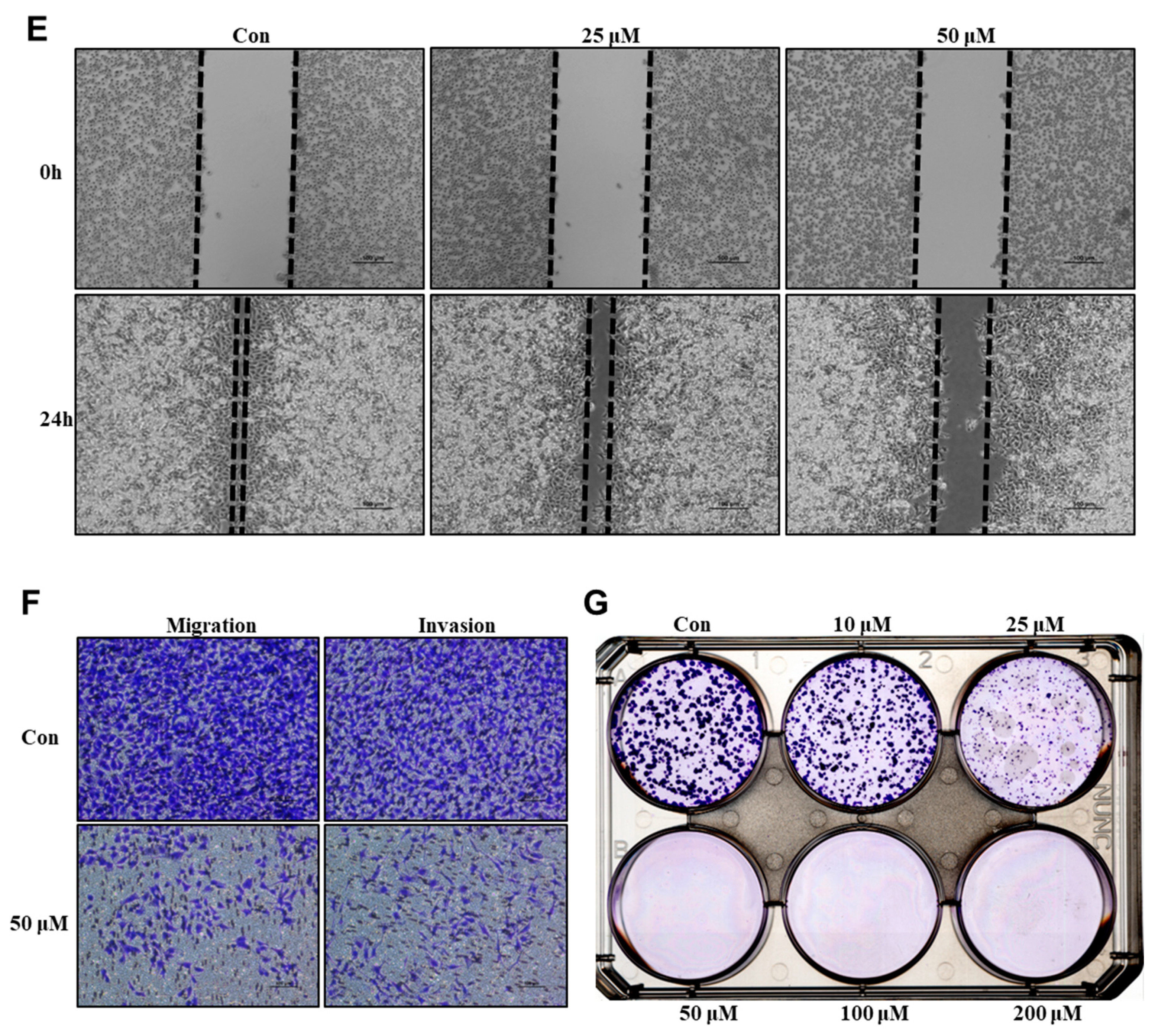 Biomolecules 10 00245 g003b Biomolecules 10 00245 g003b