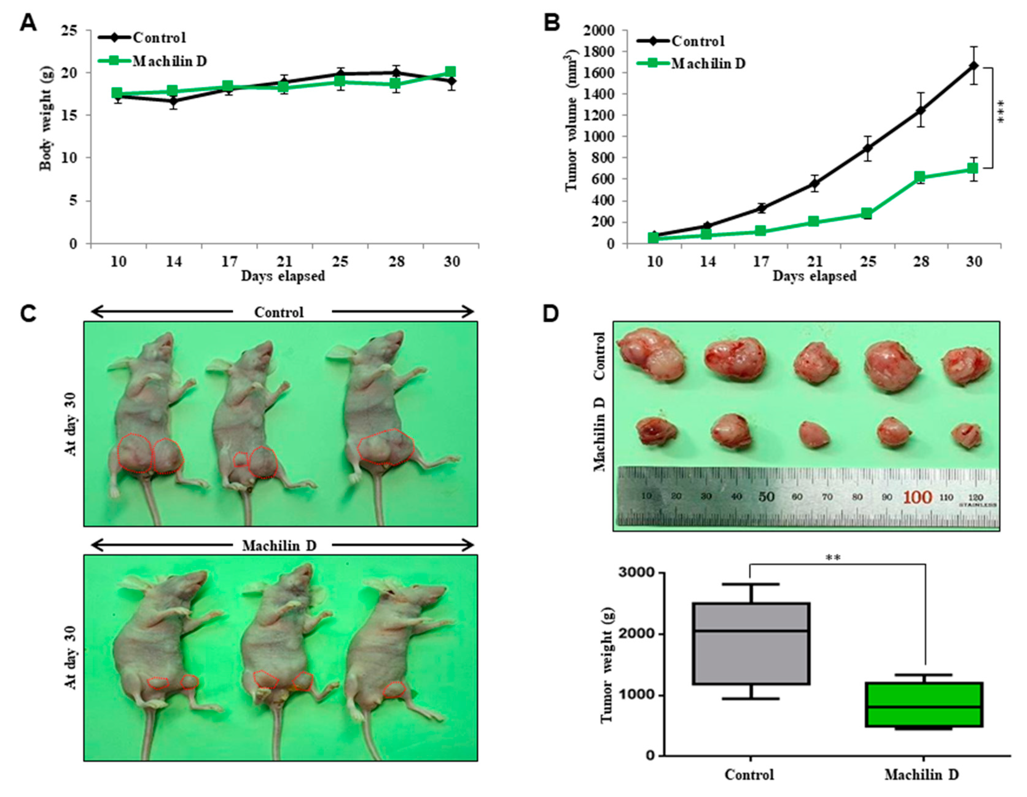 Biomolecules 10 00245 g004 Biomolecules 10 00245 g004