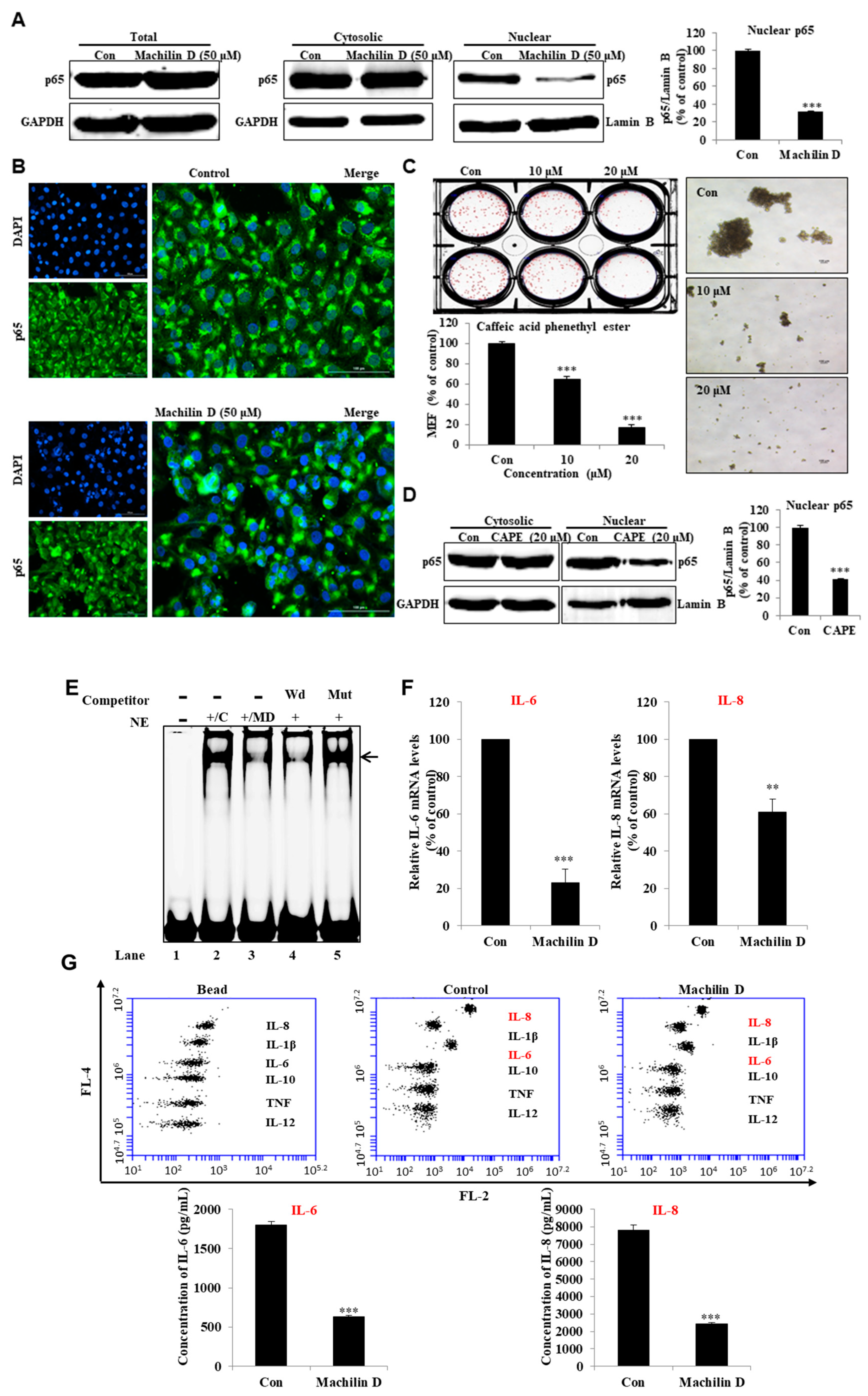 Biomolecules 10 00245 g006 Biomolecules 10 00245 g006