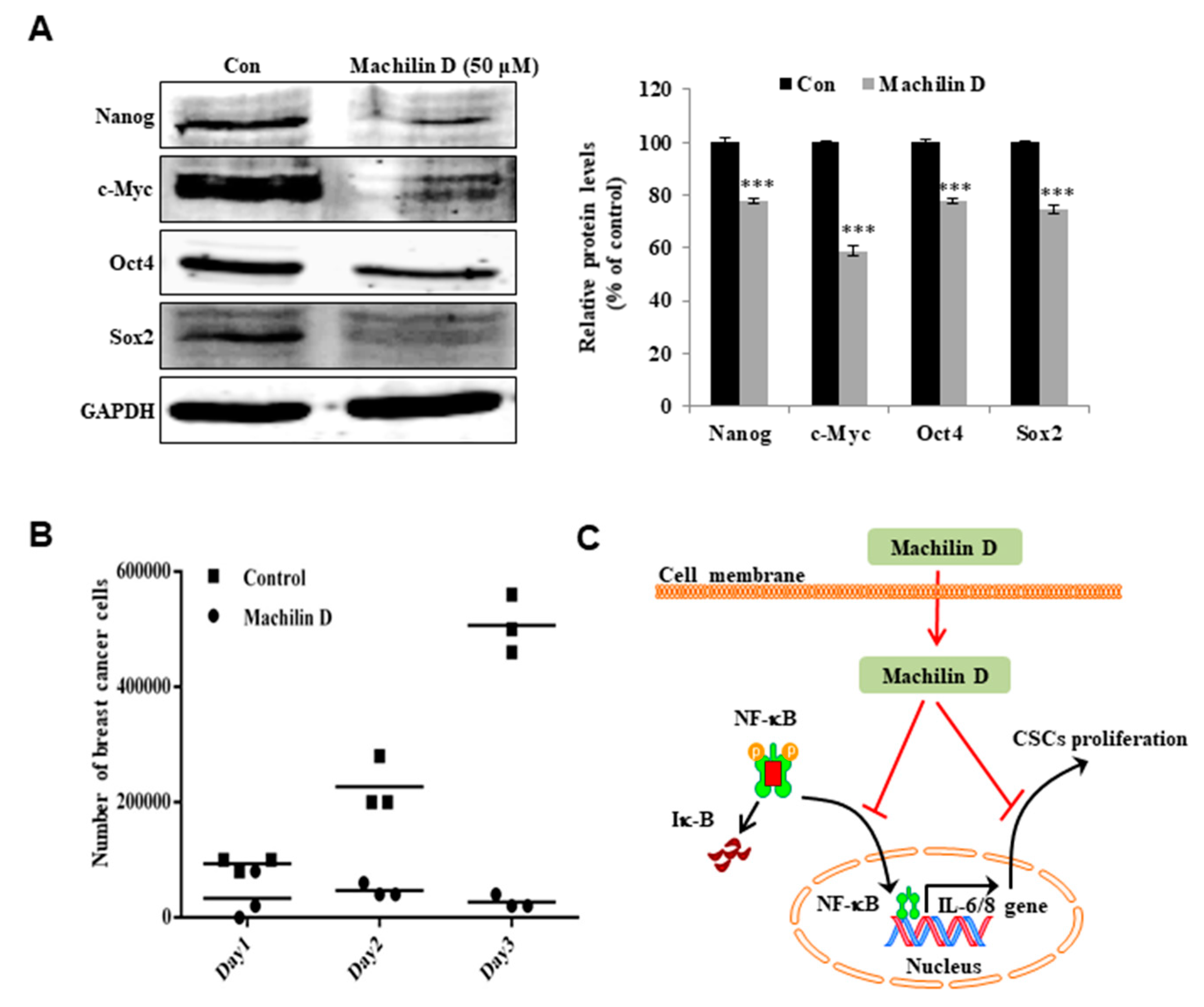 Biomolecules 10 00245 g007 Biomolecules 10 00245 g007