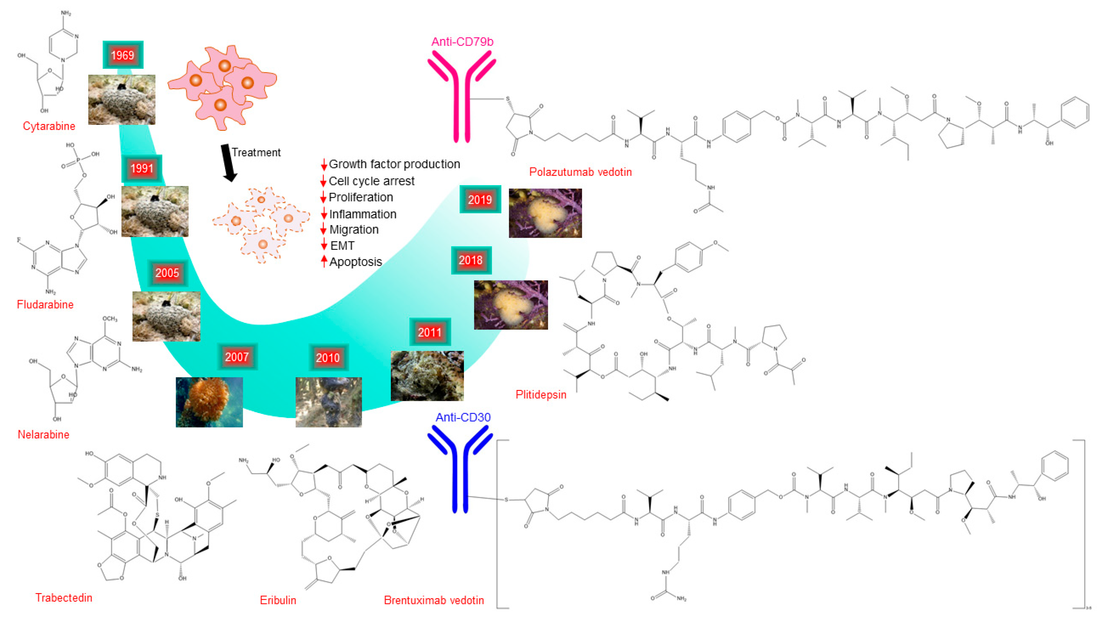 Biomolecules 10 00248 g001
