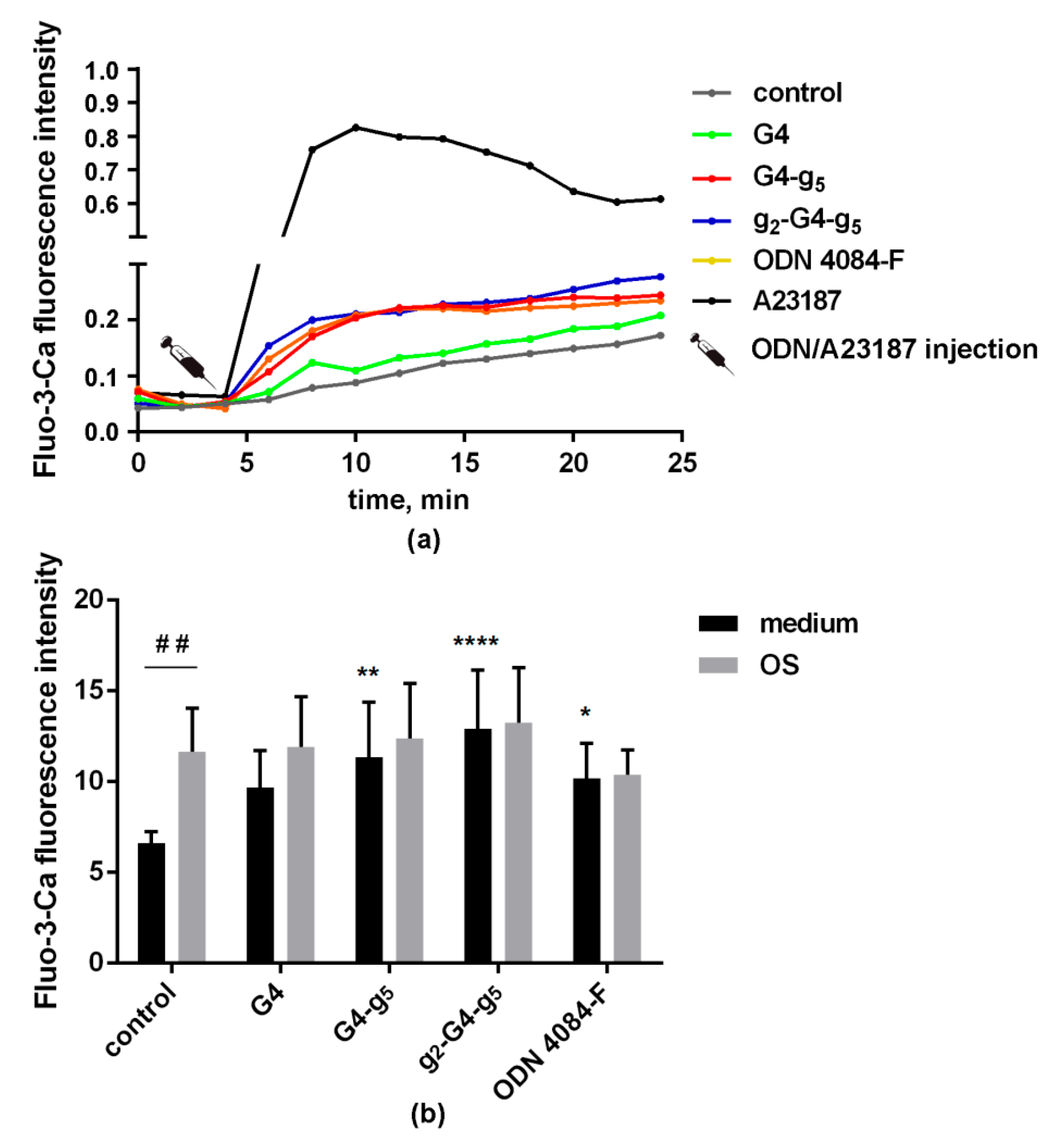 Biomolecules 10 00249 g004