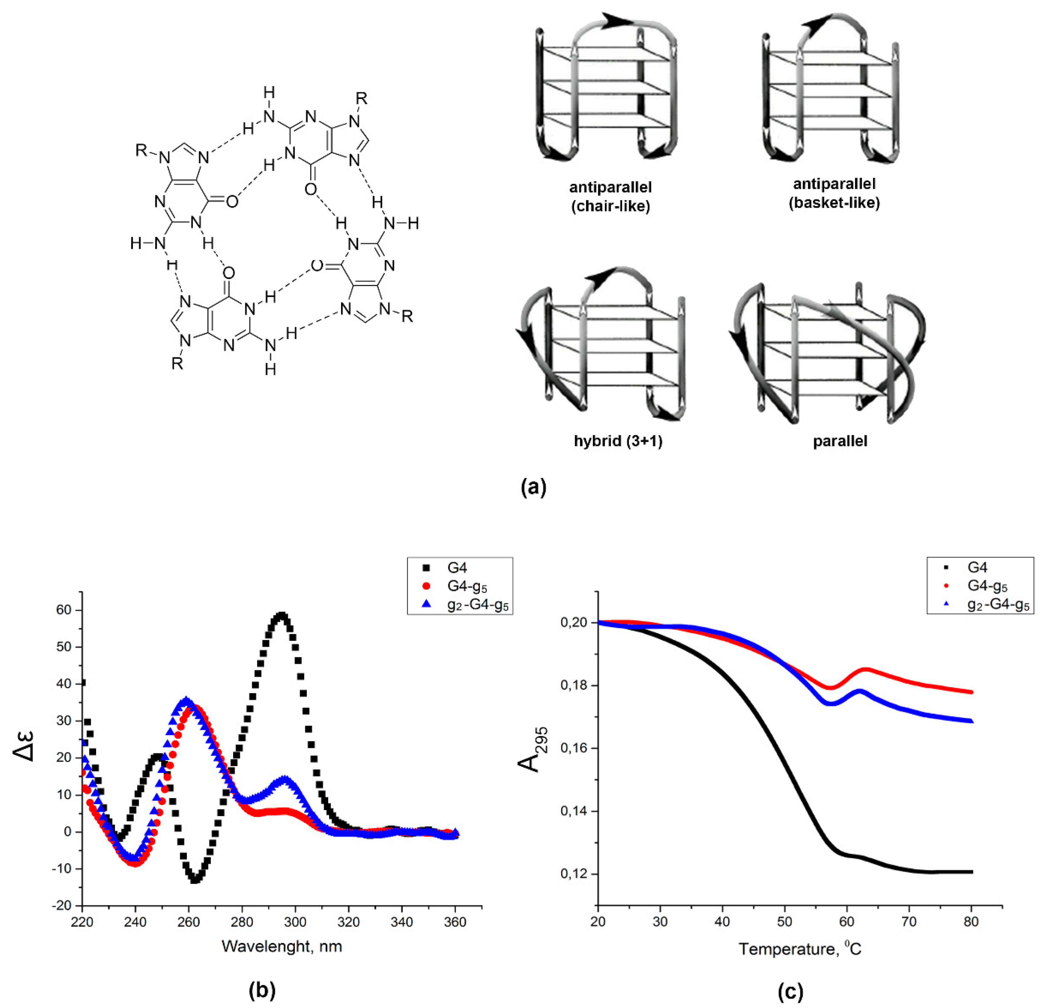 Biomolecules 10 00249 g007