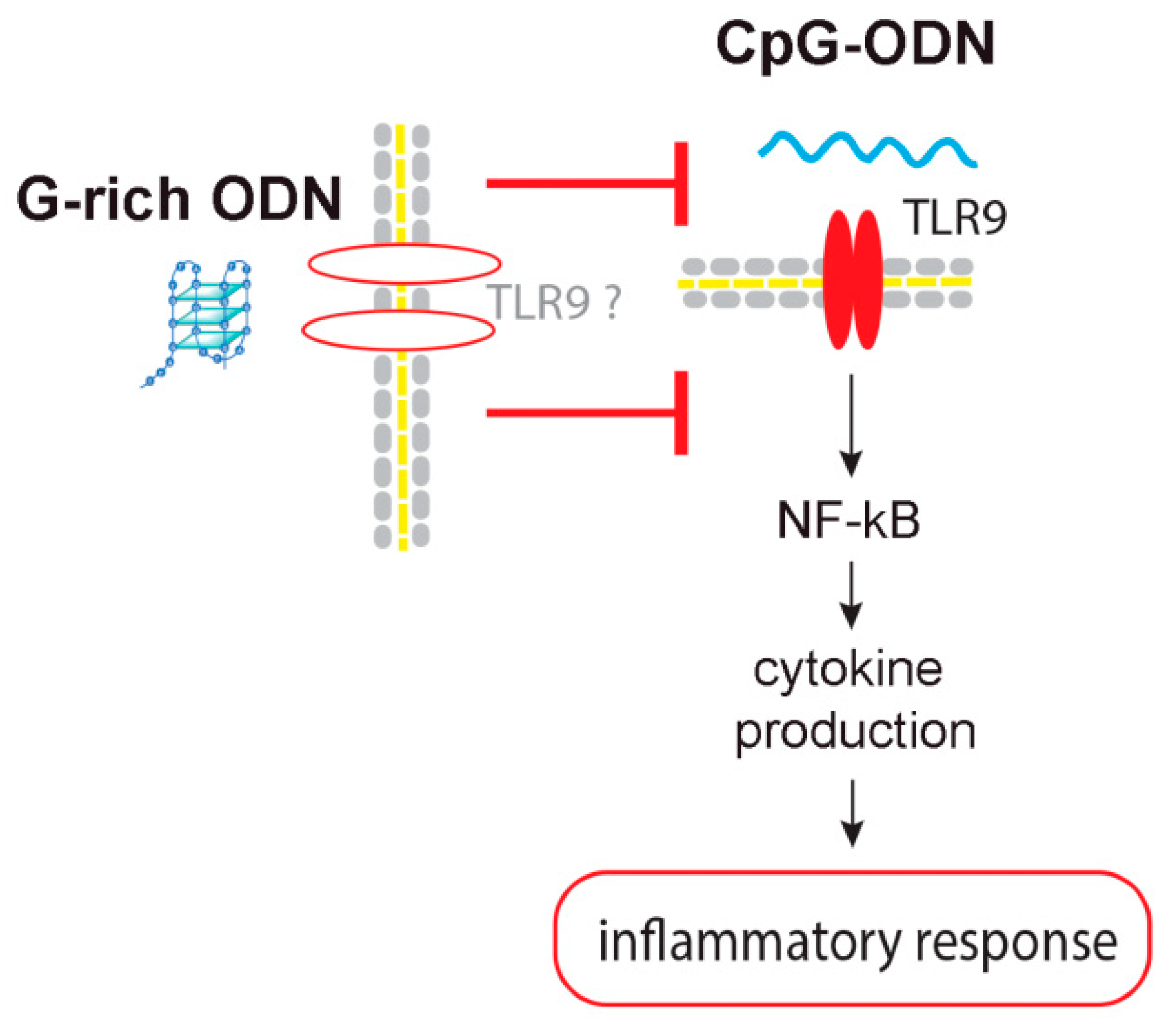 Biomolecules 10 00249 sch001