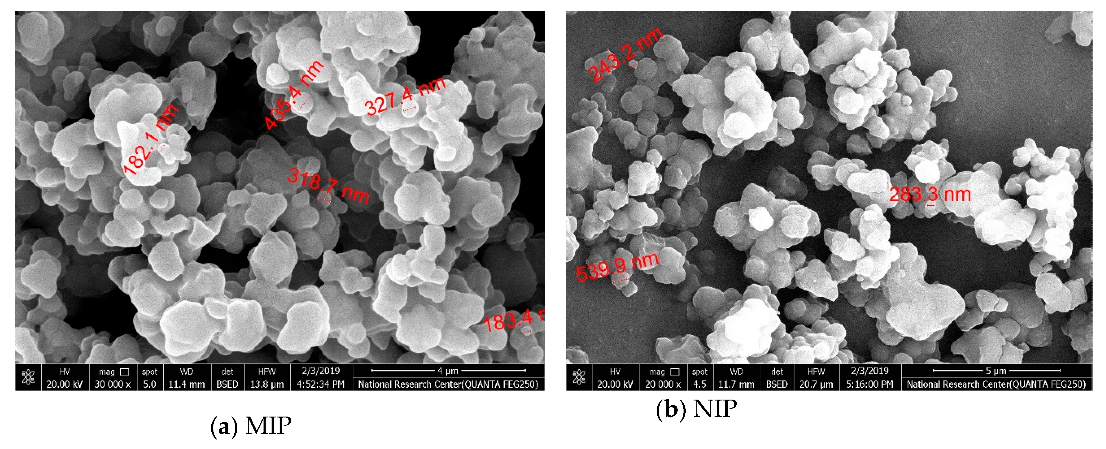 Biomolecules 10 00251 g003