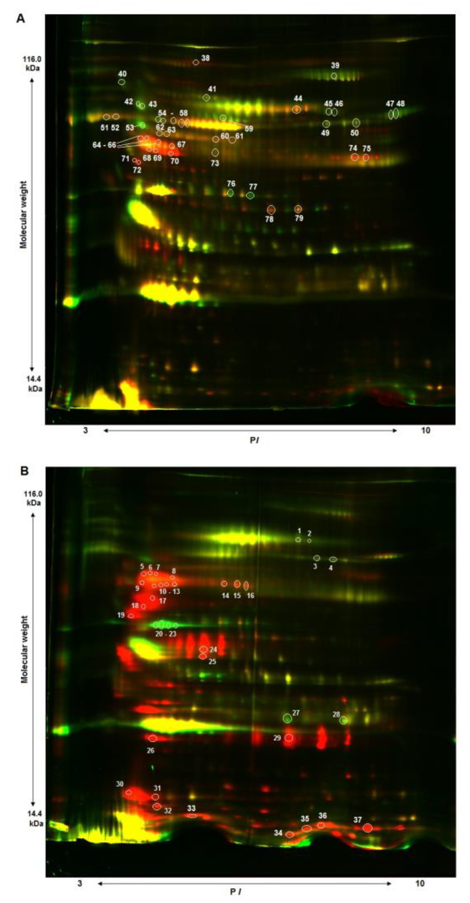 Biomolecules 10 00257 g001 Biomolecules 10 00257 g001