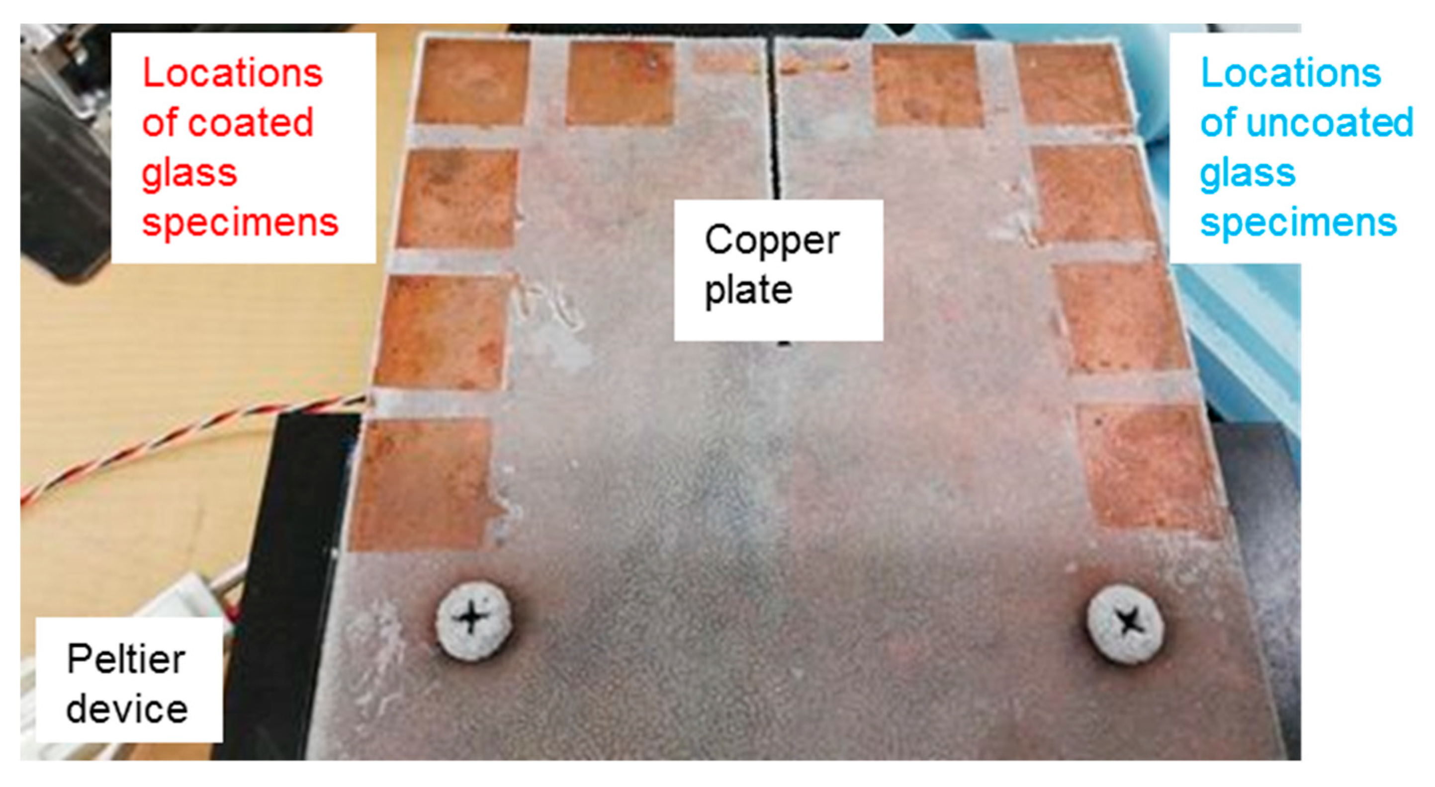 Biomolecules 10 00259 g002 Biomolecules 10 00259 g002