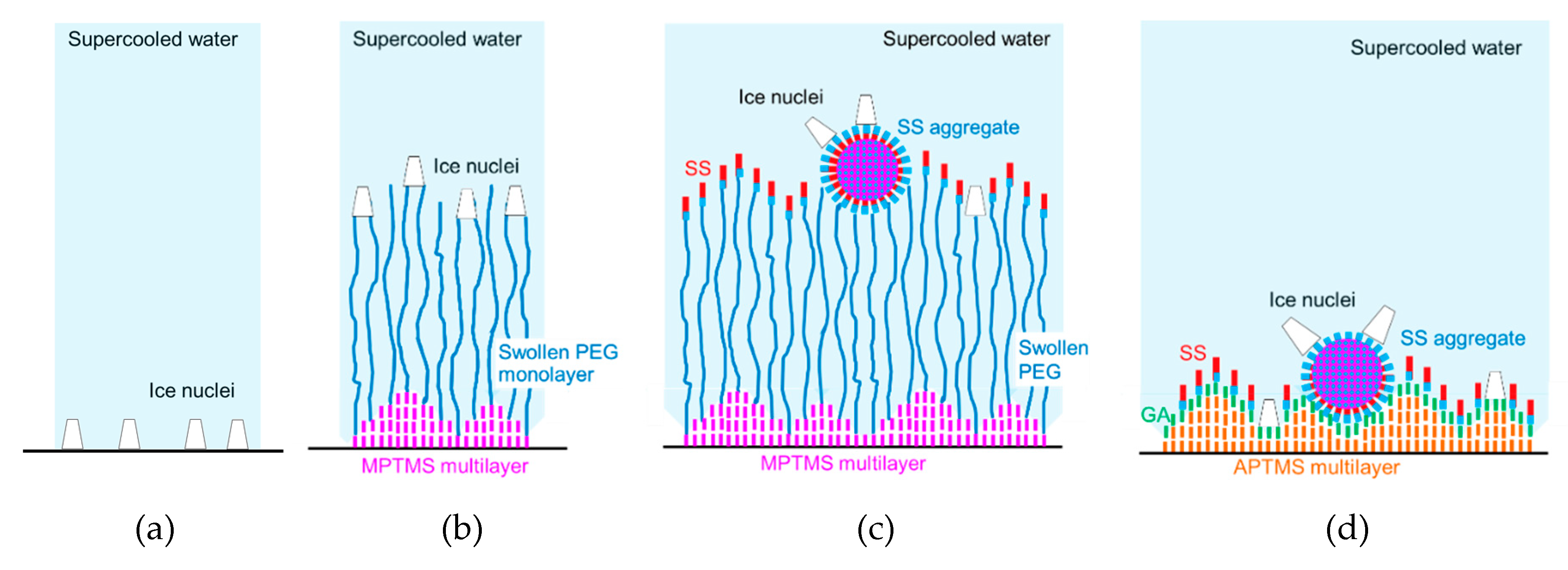 Biomolecules 10 00259 g006 Biomolecules 10 00259 g006