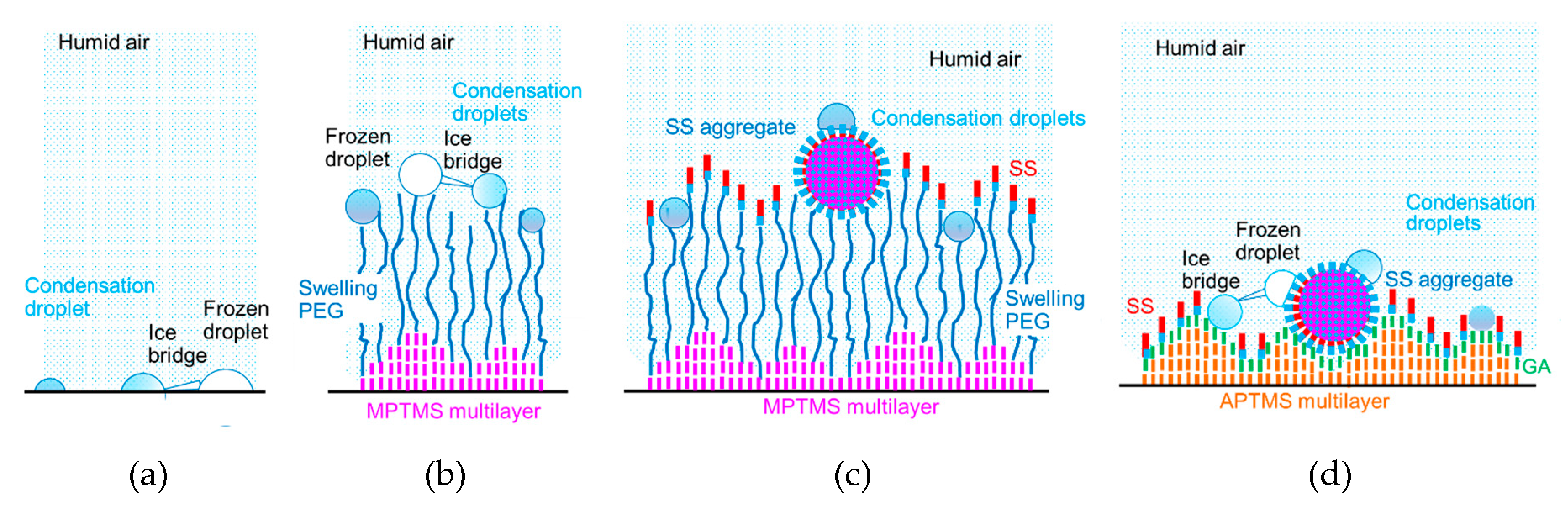 Biomolecules 10 00259 g007 Biomolecules 10 00259 g007