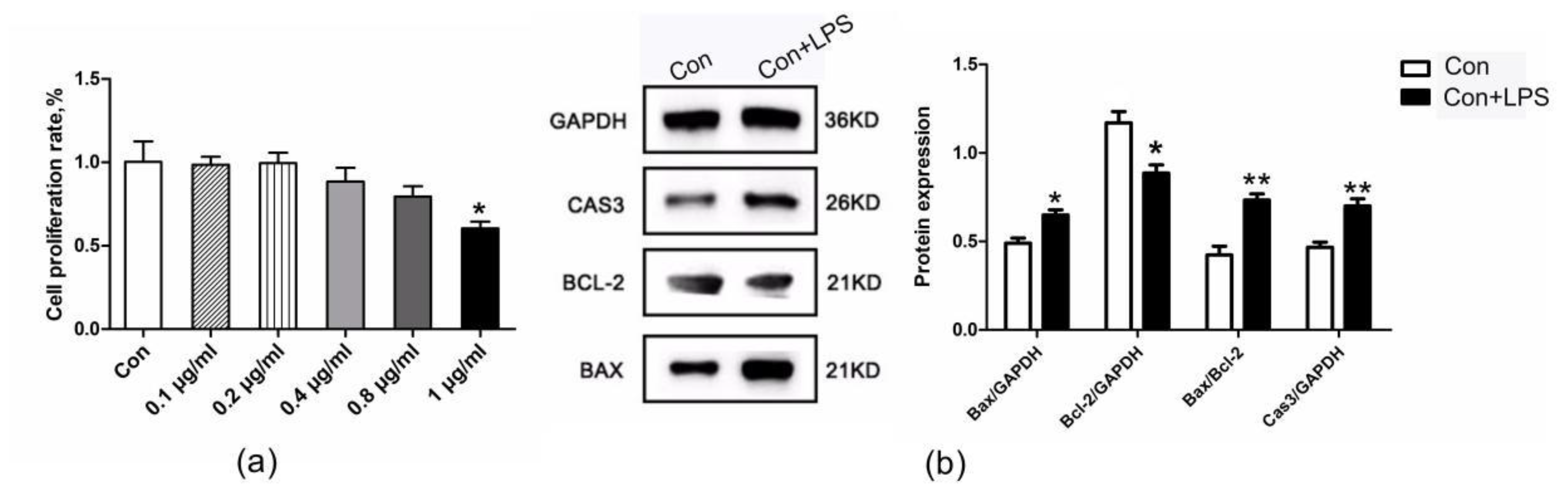 Biomolecules 10 00260 g002 Biomolecules 10 00260 g002