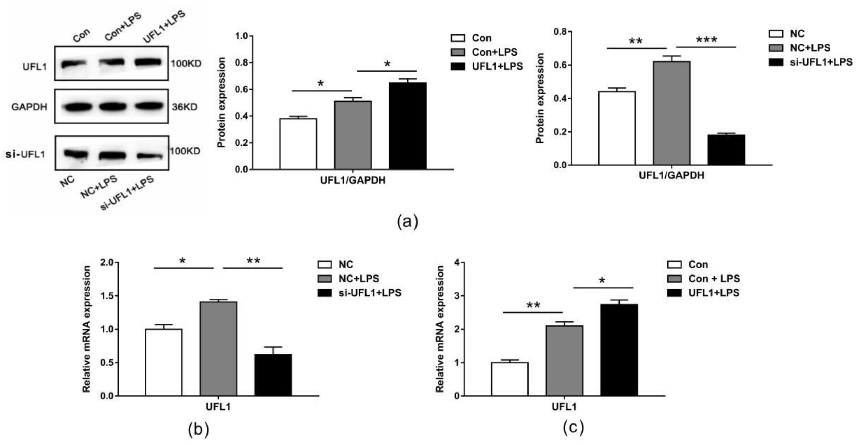 Biomolecules 10 00260 g003 Biomolecules 10 00260 g003