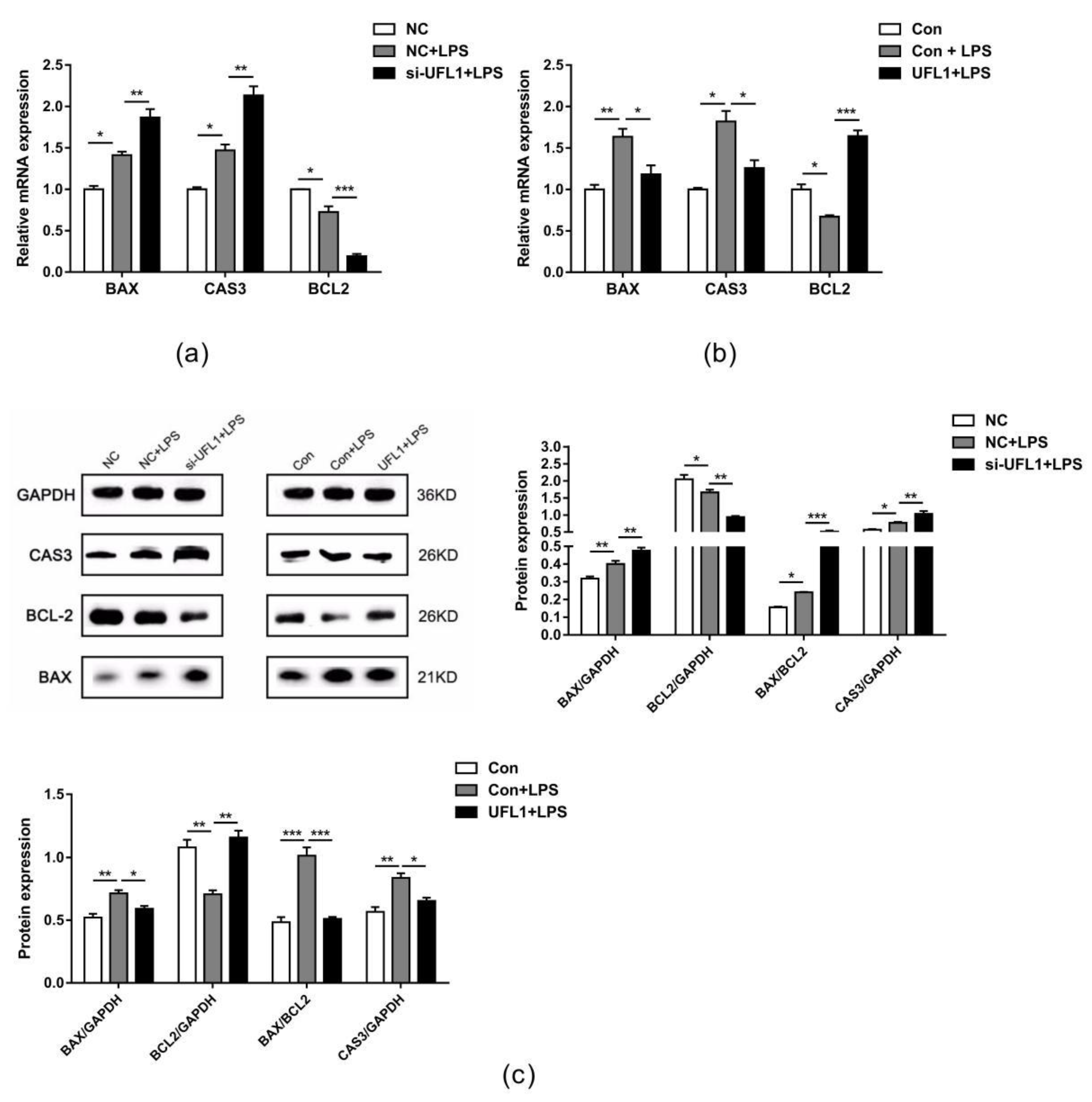 Biomolecules 10 00260 g005 Biomolecules 10 00260 g005