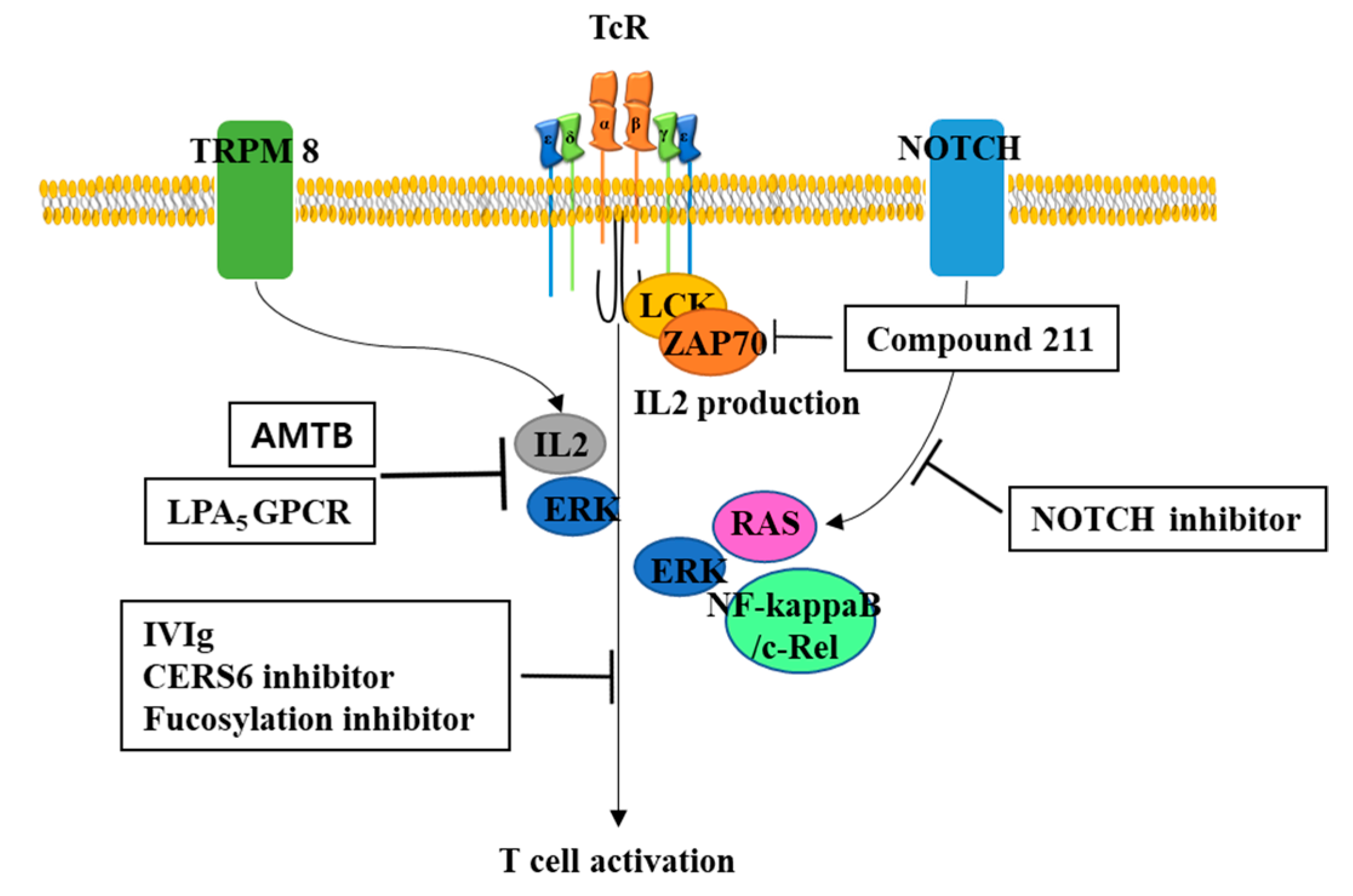 Biomolecules 10 00263 g002 Biomolecules 10 00263 g002