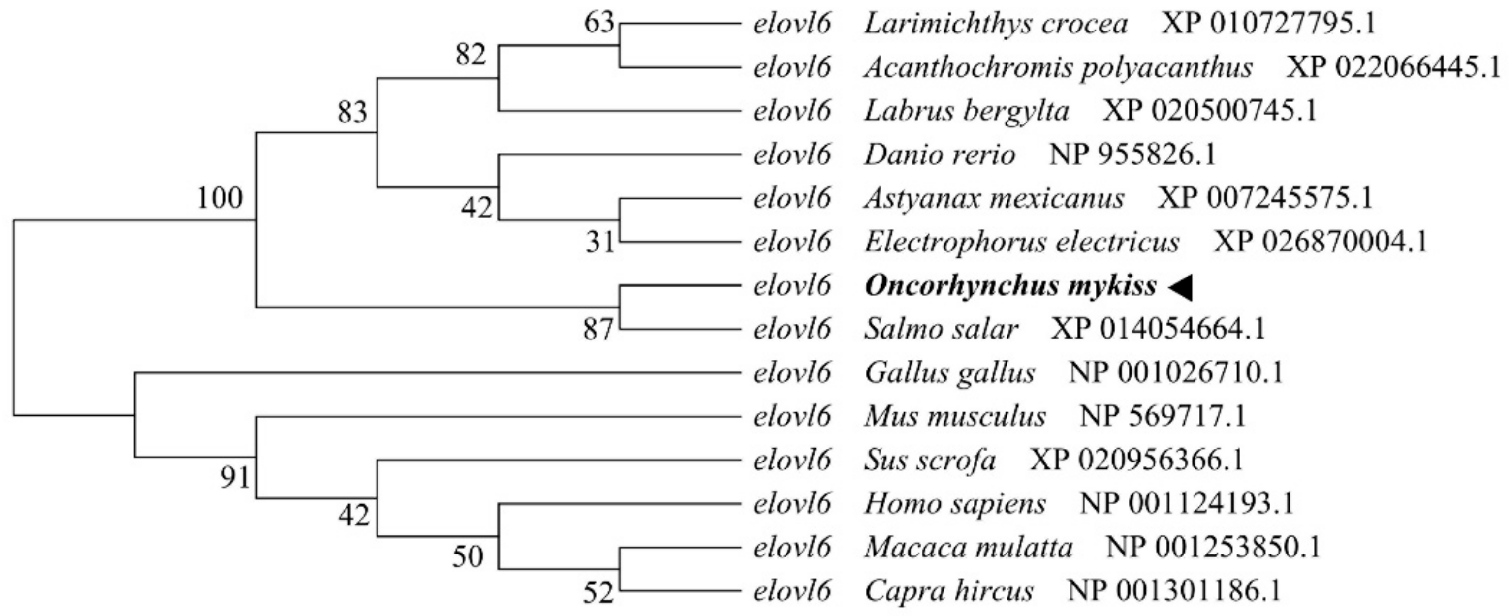 Biomolecules 10 00264 g003 Biomolecules 10 00264 g003