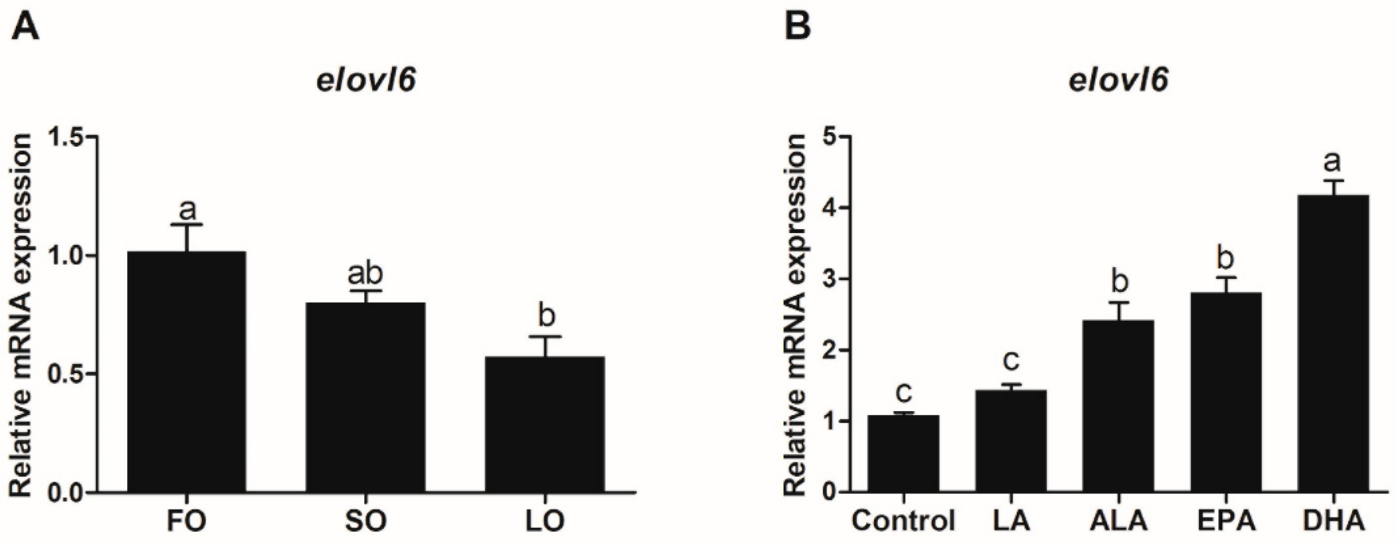Biomolecules 10 00264 g005 Biomolecules 10 00264 g005