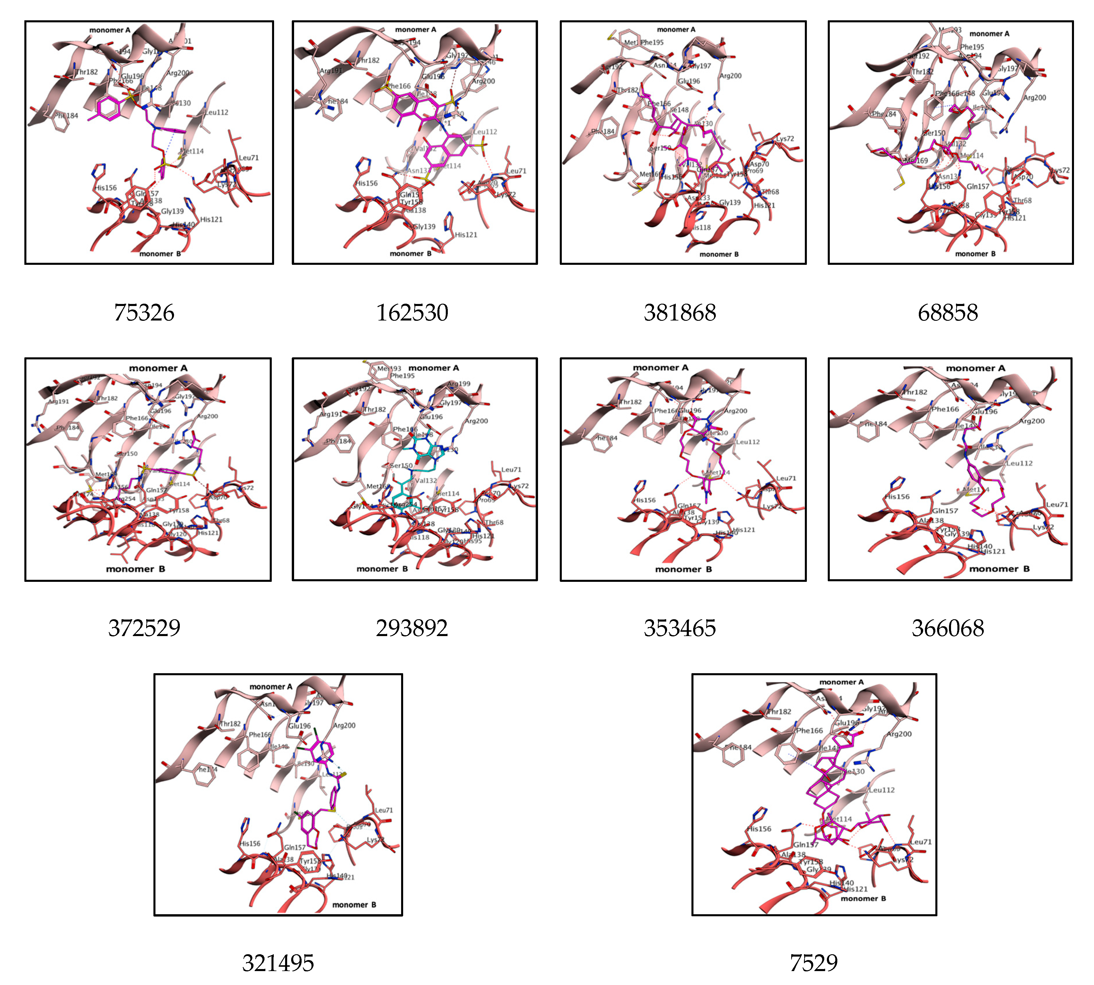 Biomolecules 10 00266 g007 Biomolecules 10 00266 g007