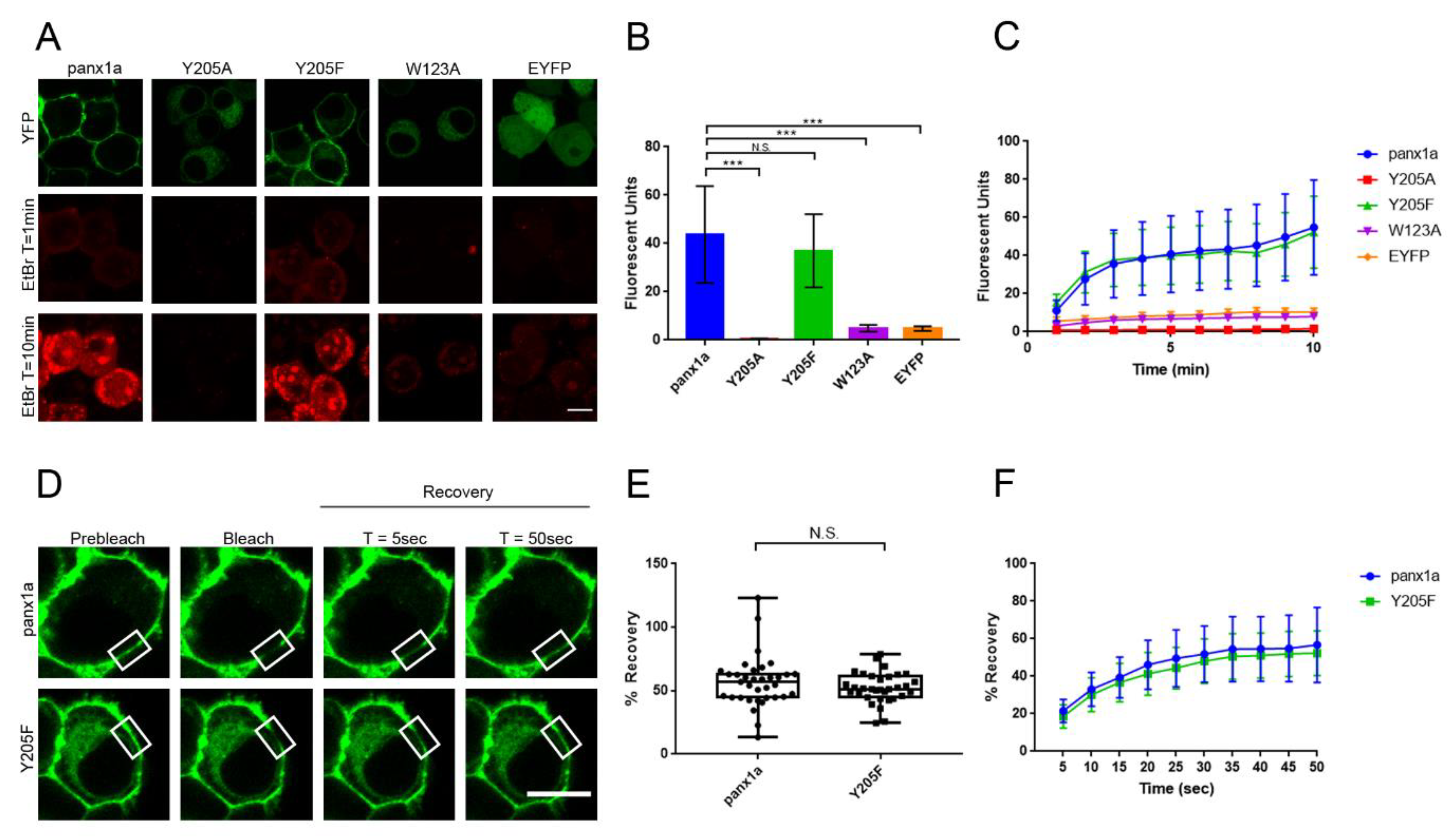 Biomolecules 10 00272 g003 Biomolecules 10 00272 g003