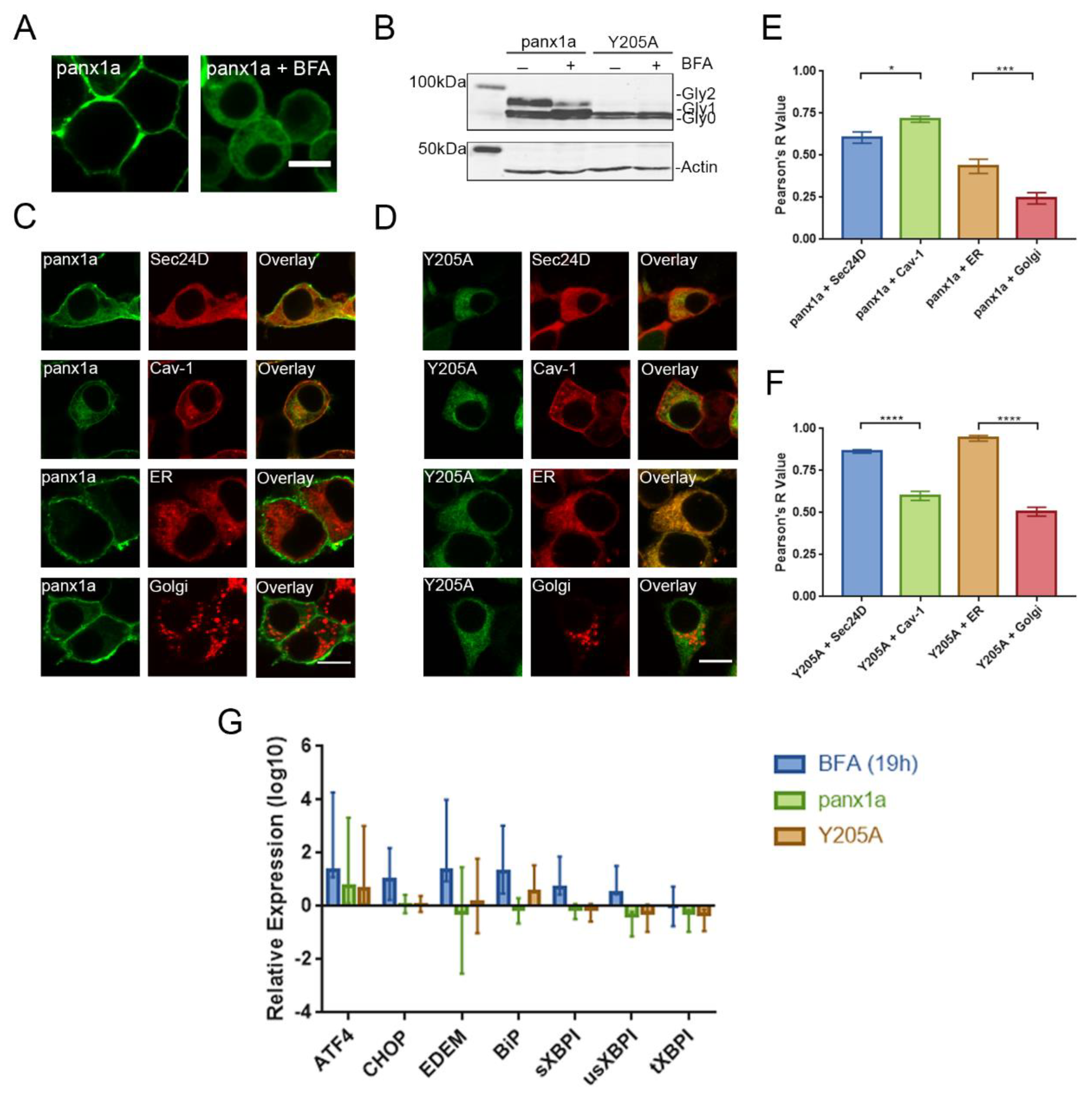 Biomolecules 10 00272 g004 Biomolecules 10 00272 g004