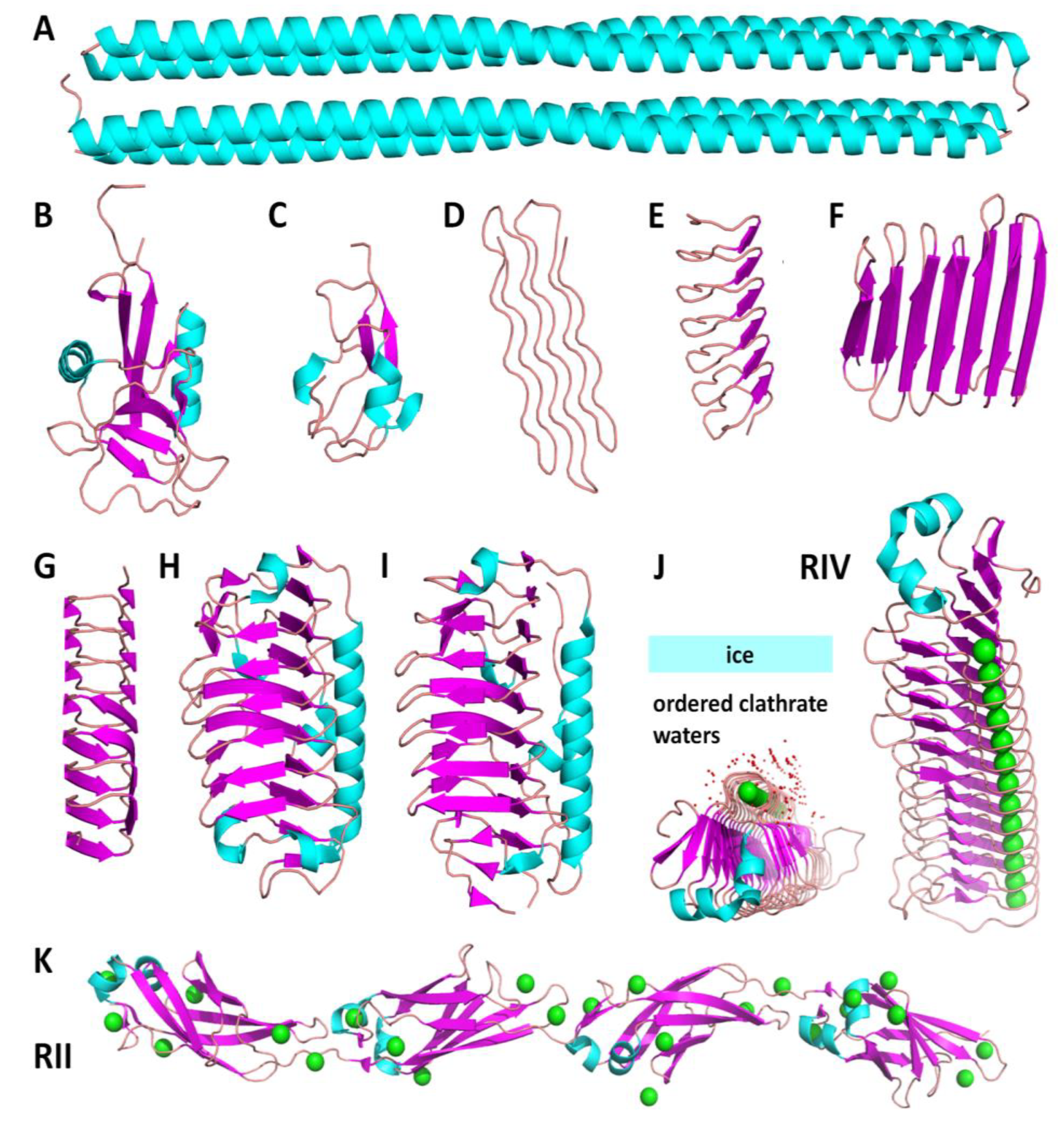 Biomolecules 10 00274 g002 Biomolecules 10 00274 g002