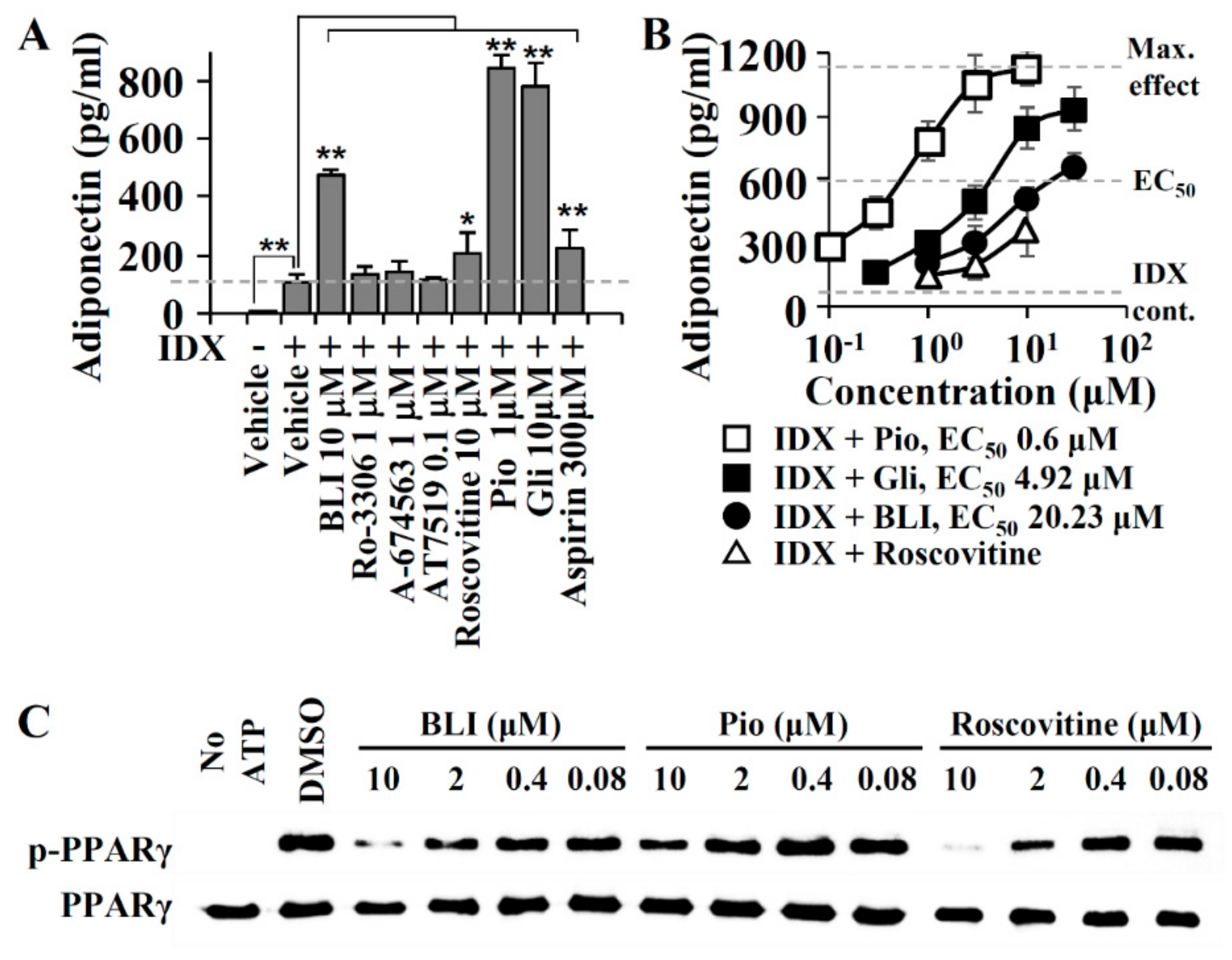 Biomolecules 10 00275 g002 Biomolecules 10 00275 g002